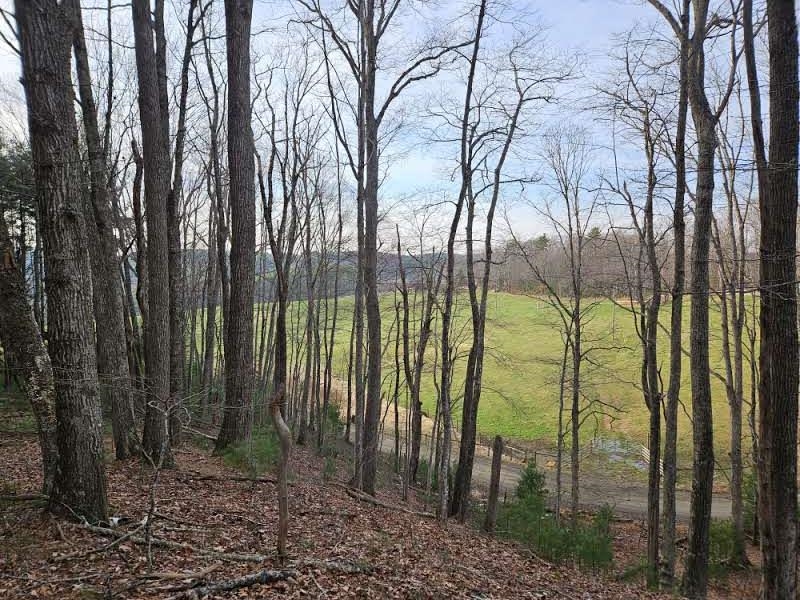 Tbd Sawmill Hill Road NW Willis VA 24380