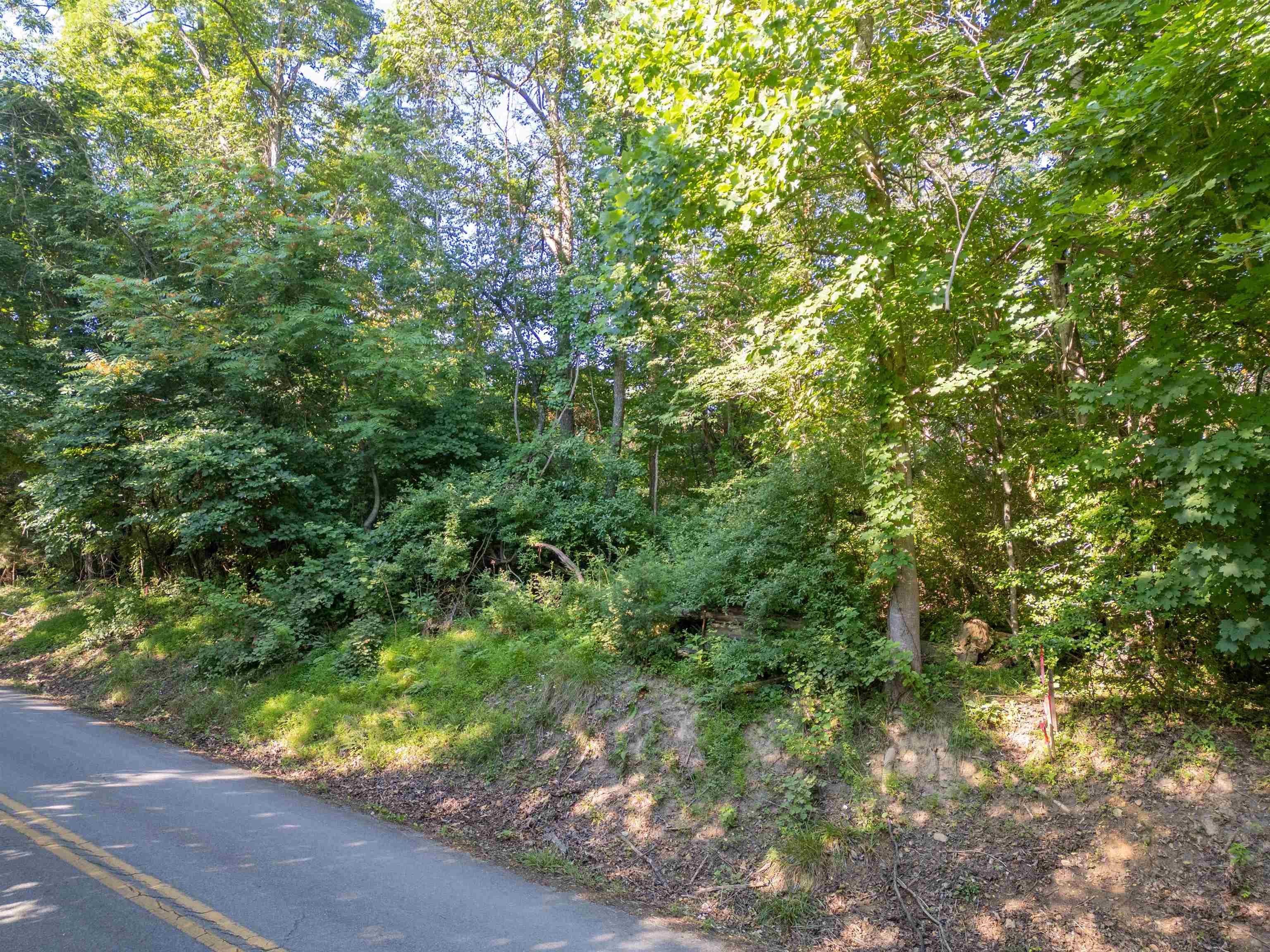 Lot 235 Appalachian Road Radford VA 24141