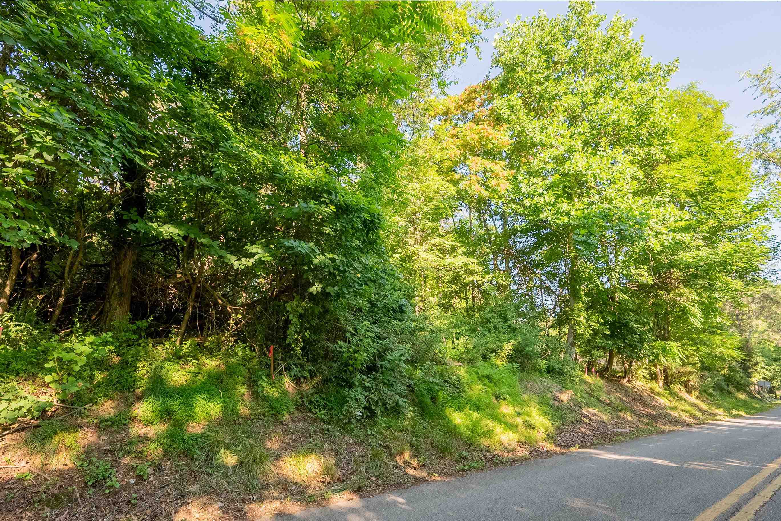 Lot 235 Appalachian Road Radford VA 24141