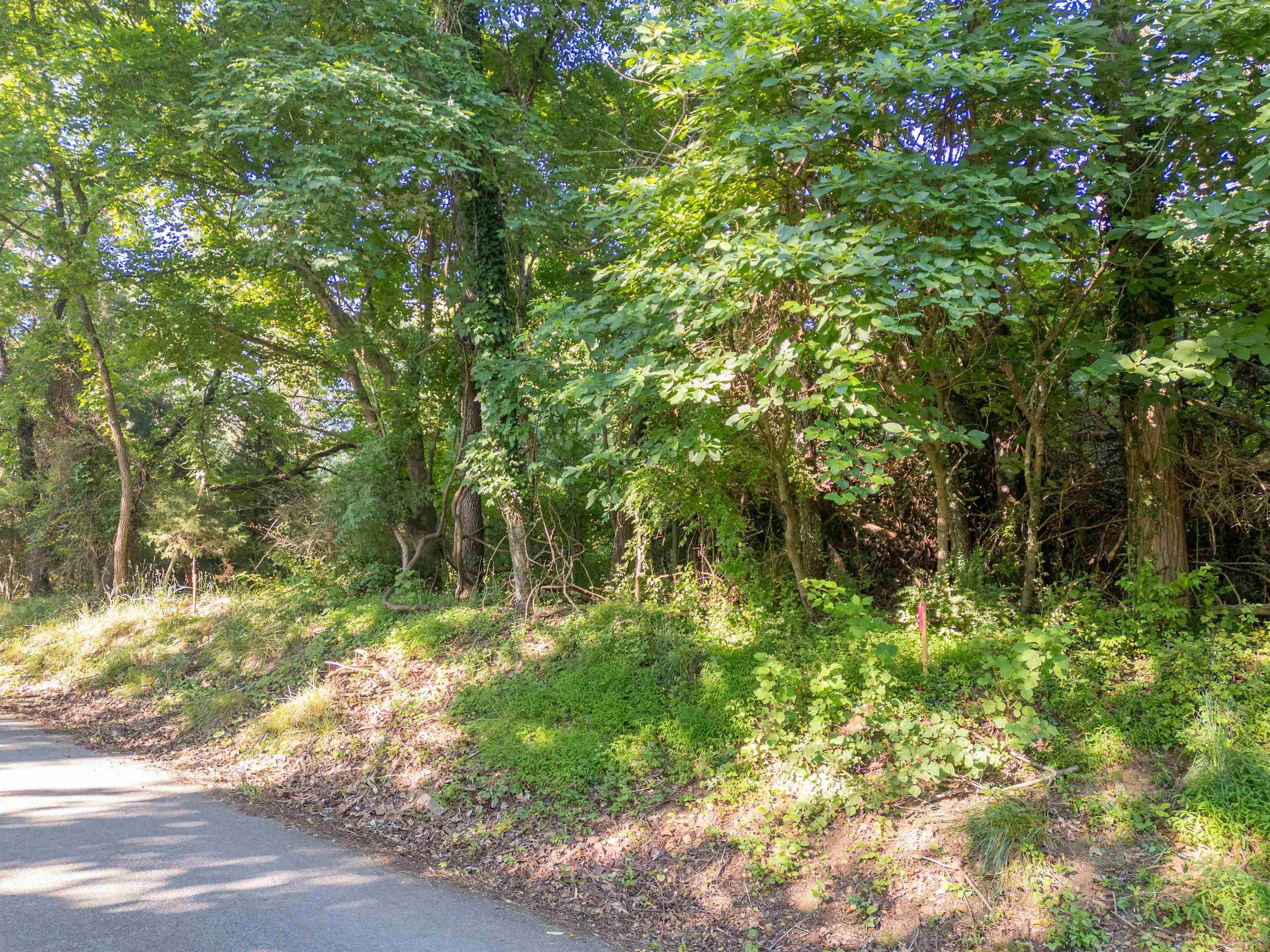 Lot 235 Appalachian Road Radford VA 24141
