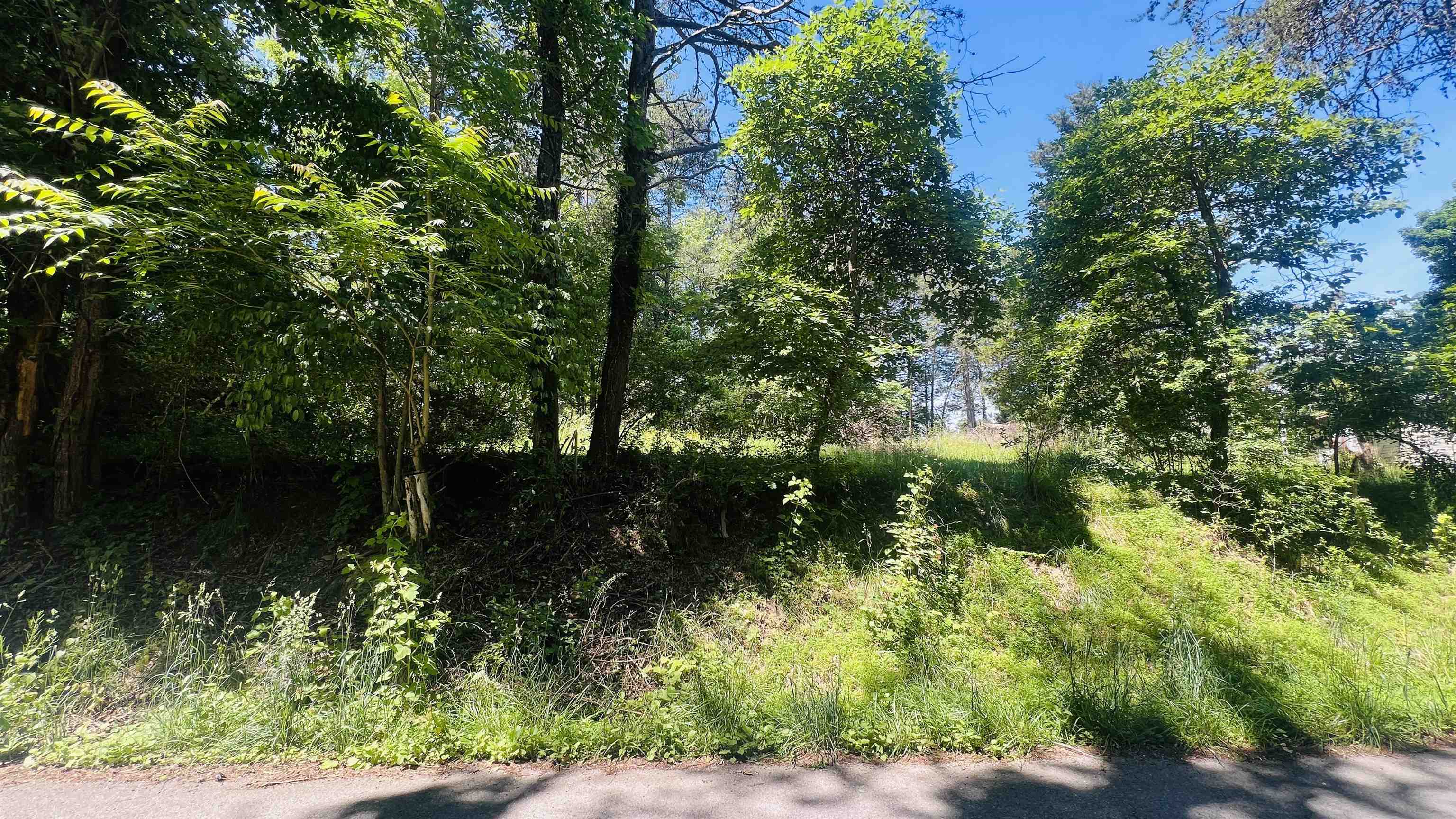 Lot 235 Appalachian Road Radford VA 24141