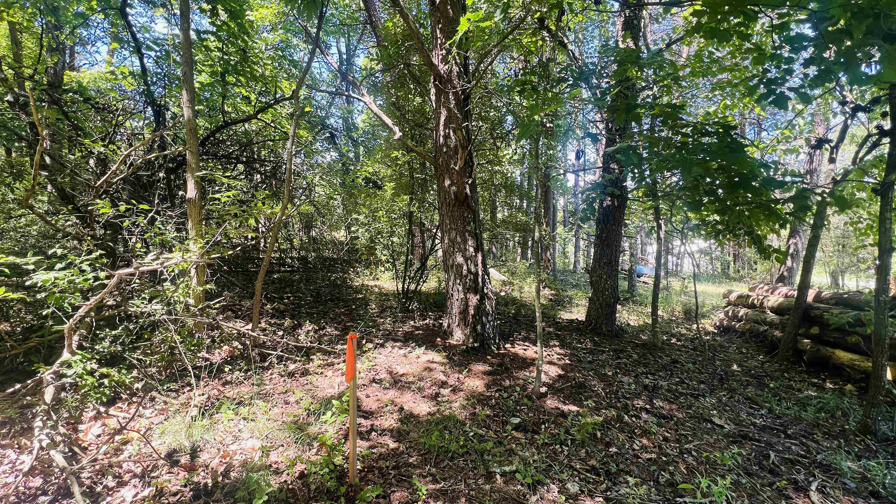 Lot 235 Appalachian Road Radford VA 24141