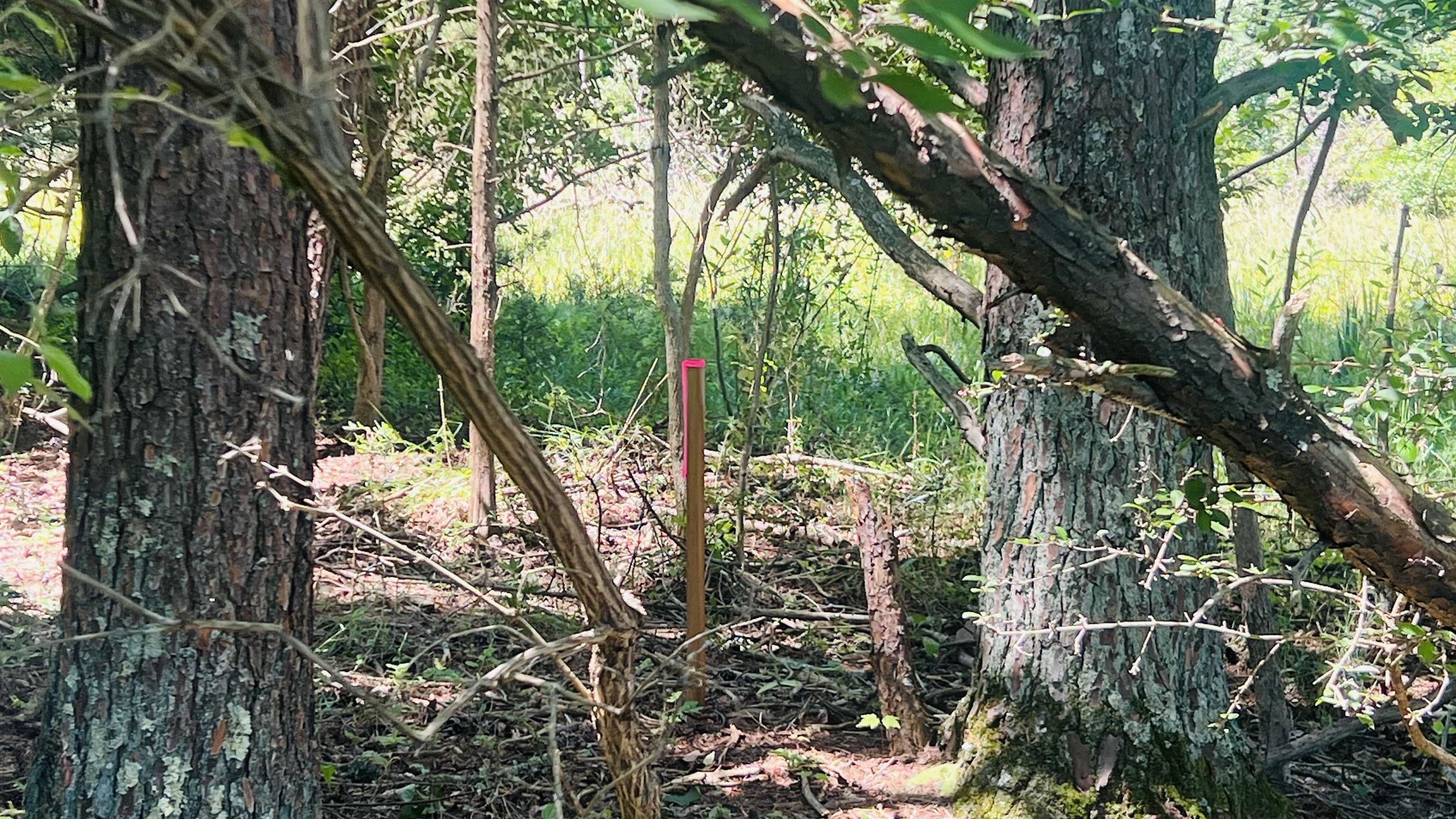 Lot 235 Appalachian Road Radford VA 24141