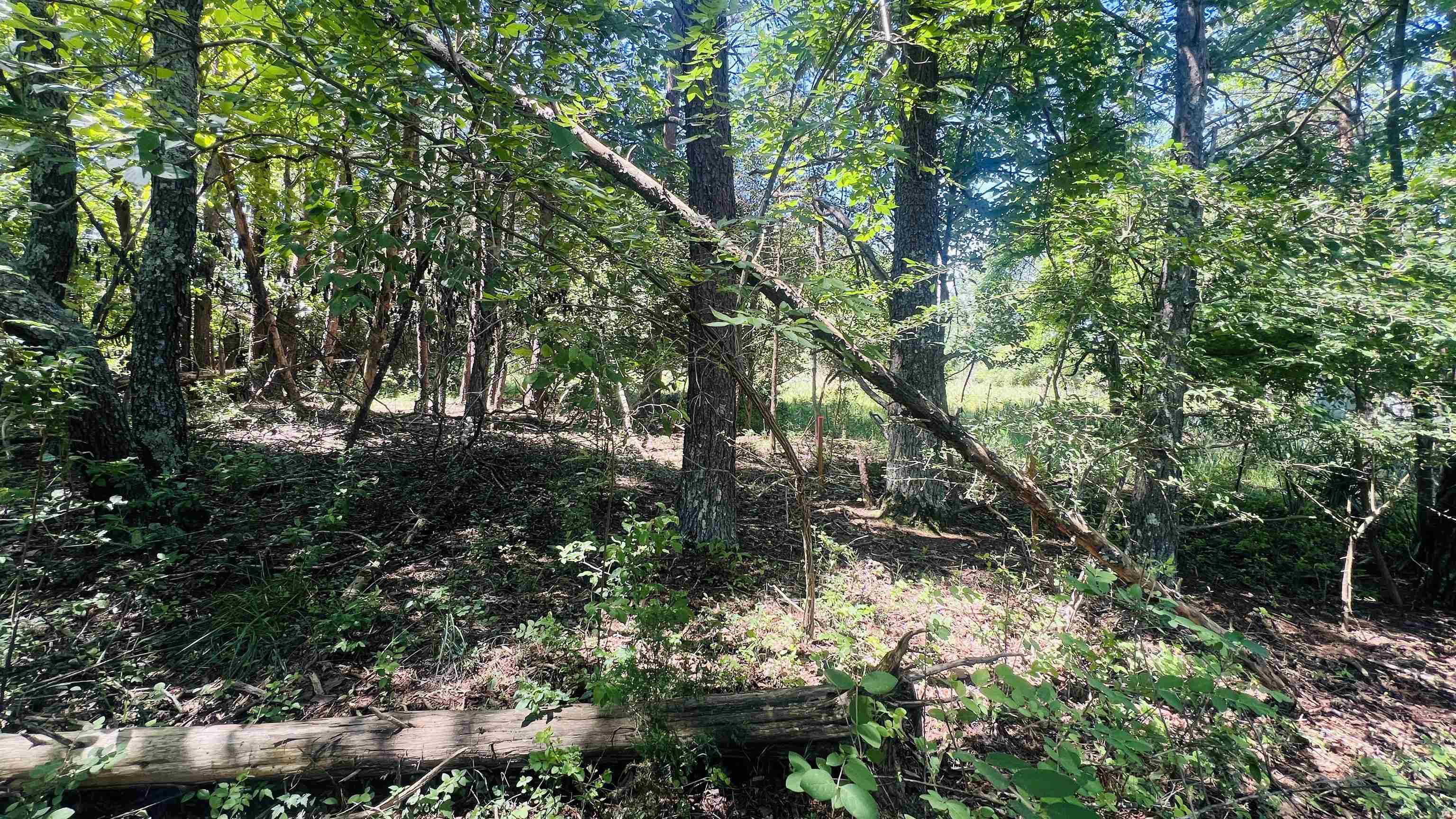 Lot 235 Appalachian Road Radford VA 24141