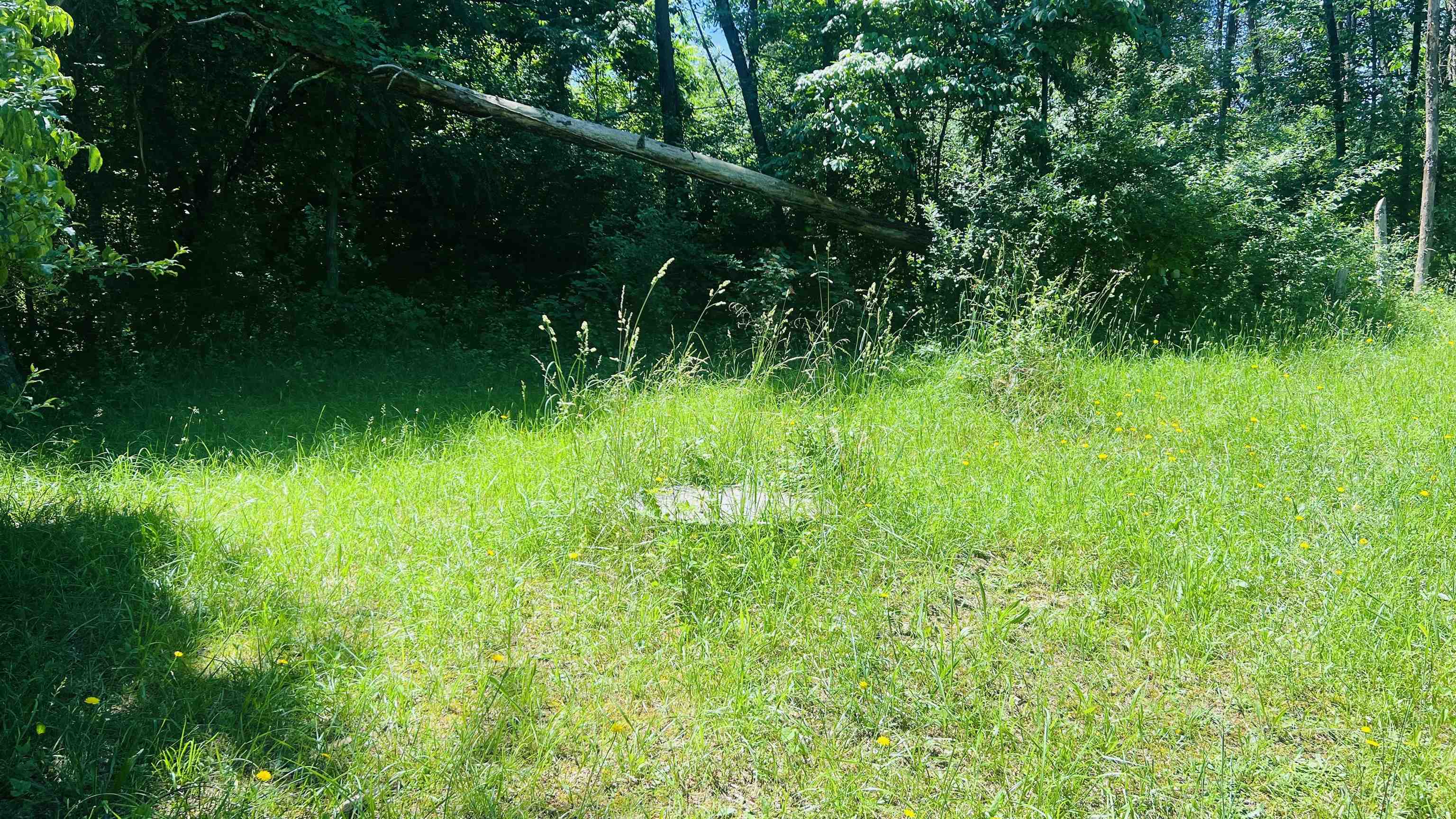 Lot 235 Appalachian Road Radford VA 24141