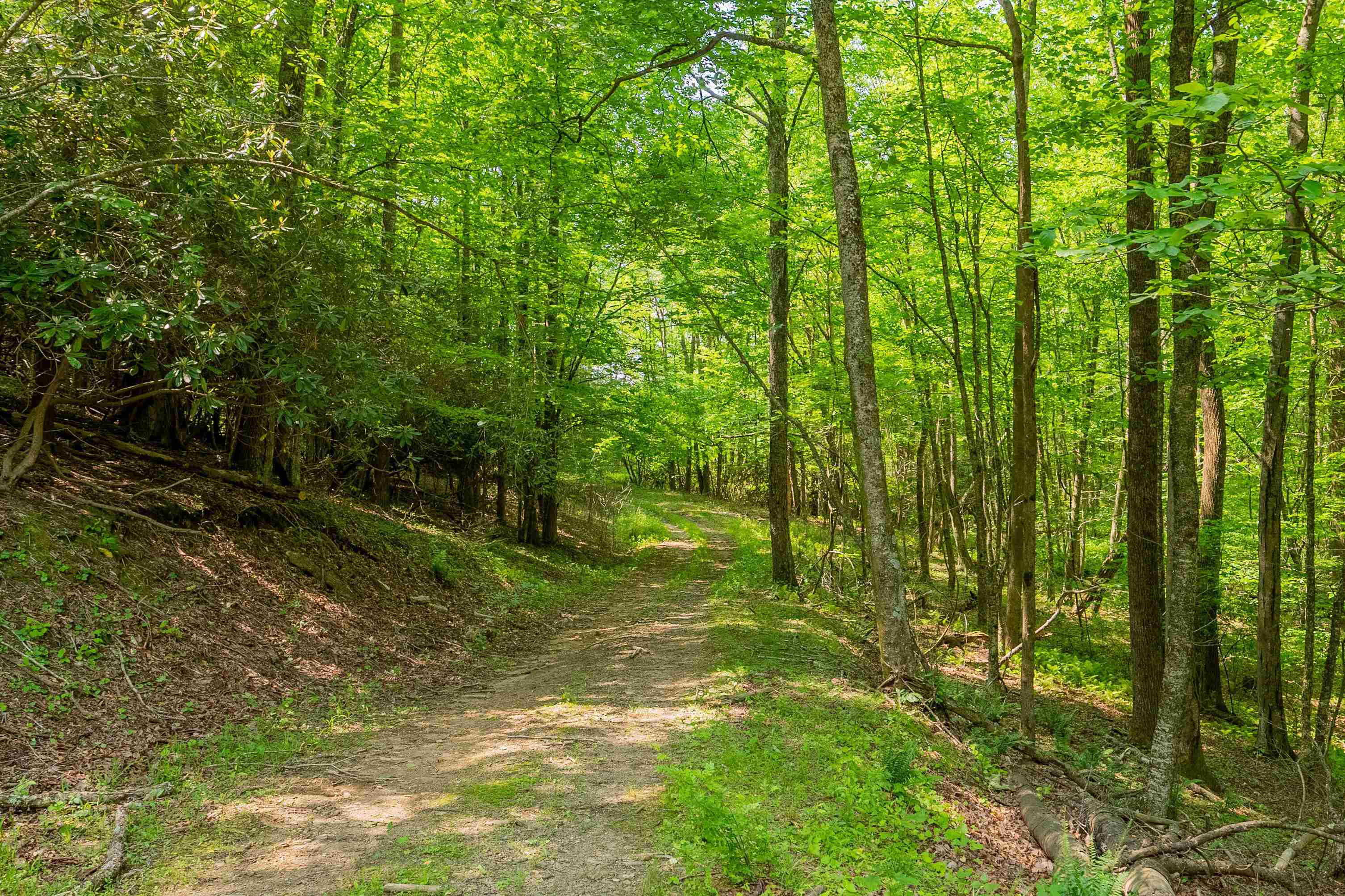 688 Gibson Knob Road Laurel Fork VA 24352