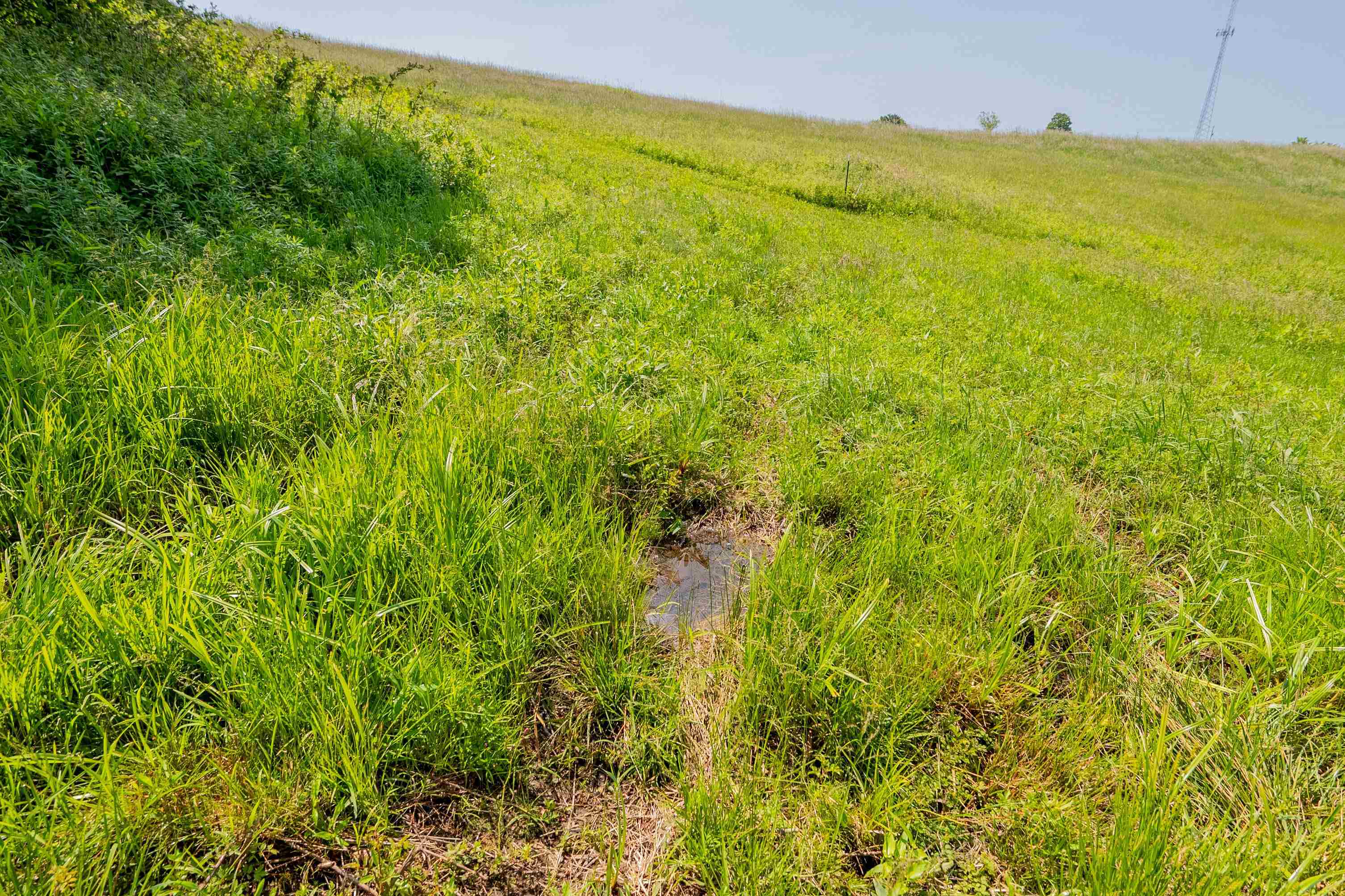 688 Gibson Knob Road Laurel Fork VA 24352