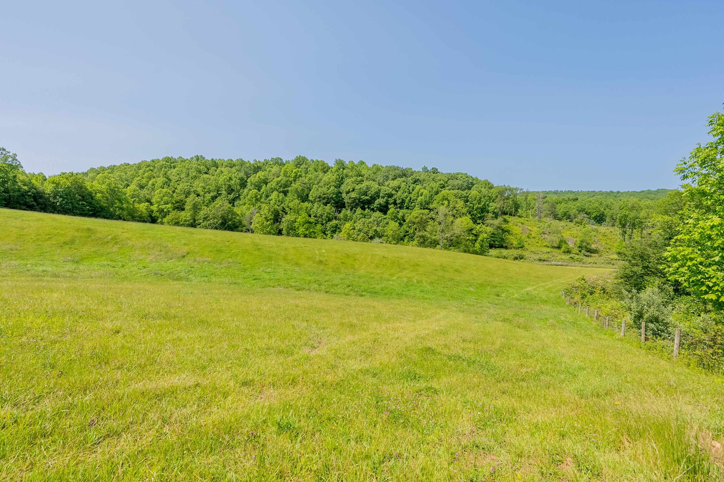 688 Gibson Knob Road Laurel Fork VA 24352