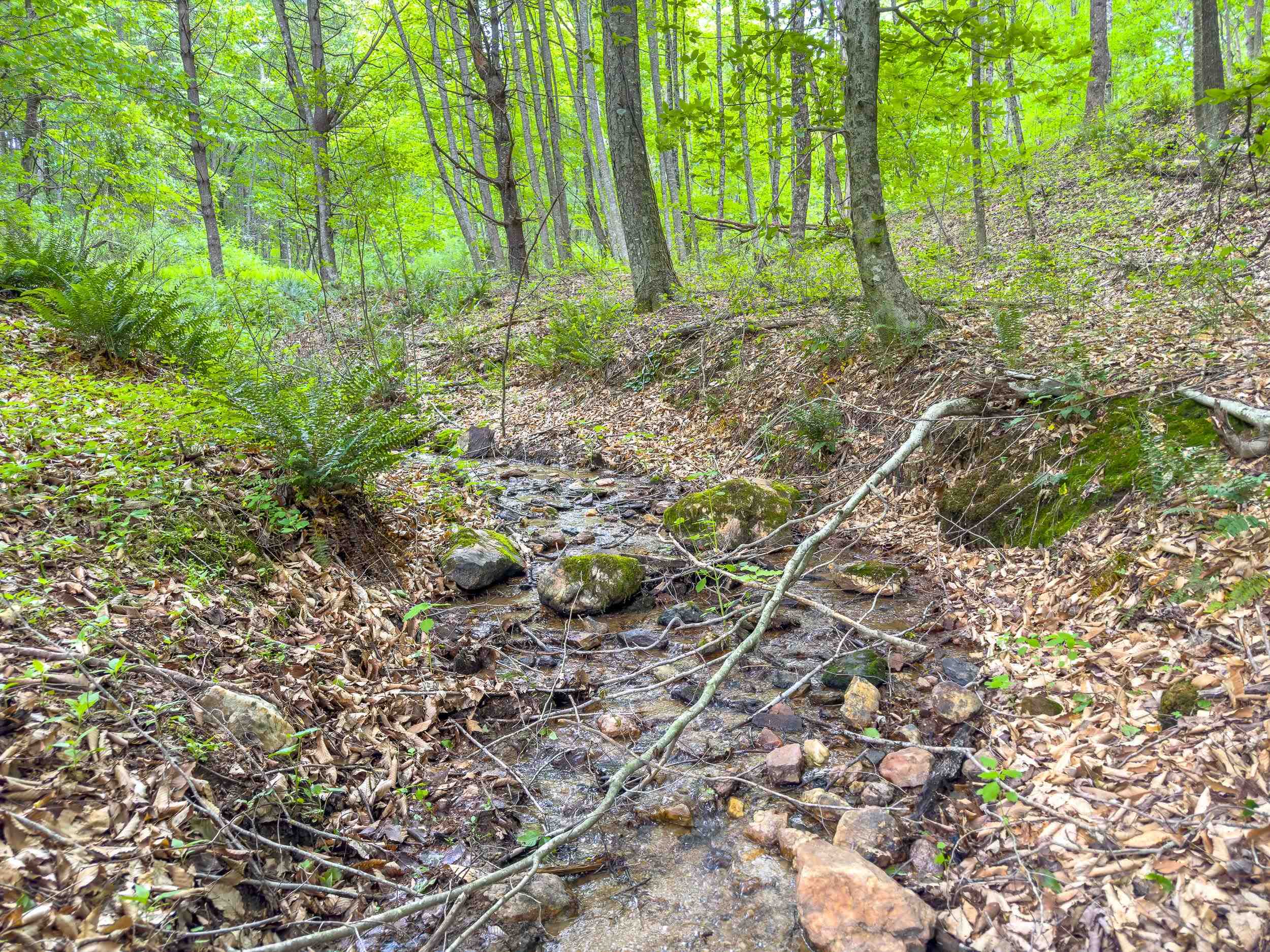 345 Apache Road Woodlawn VA 24381