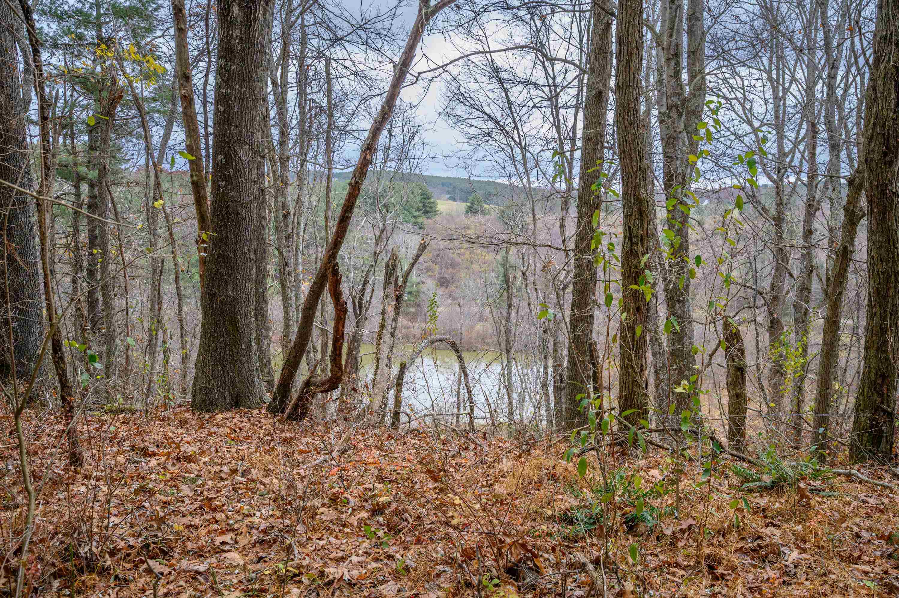 595 Wild Cherry Road NE Pilot VA 24138