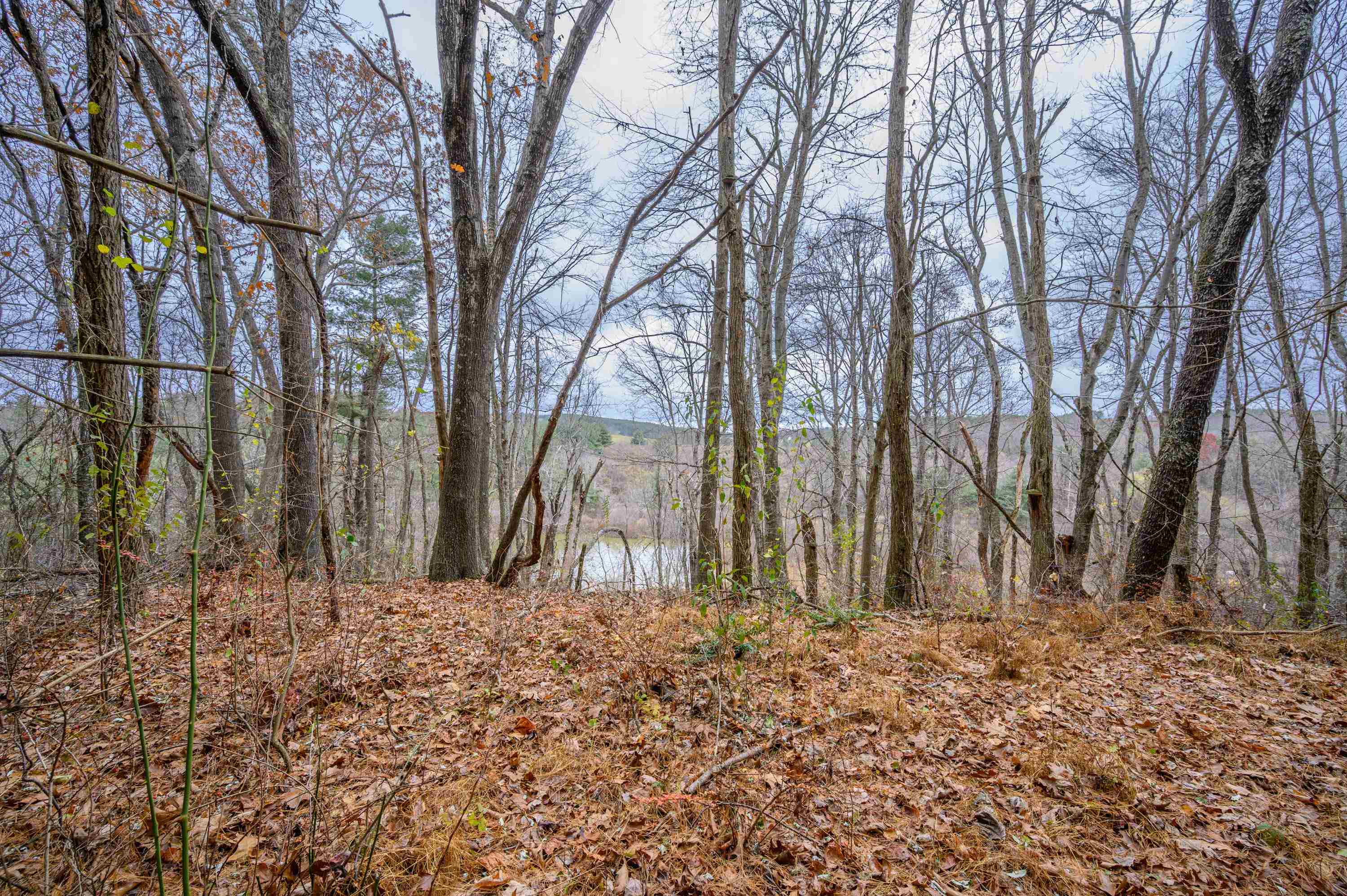 595 Wild Cherry Road NE Pilot VA 24138