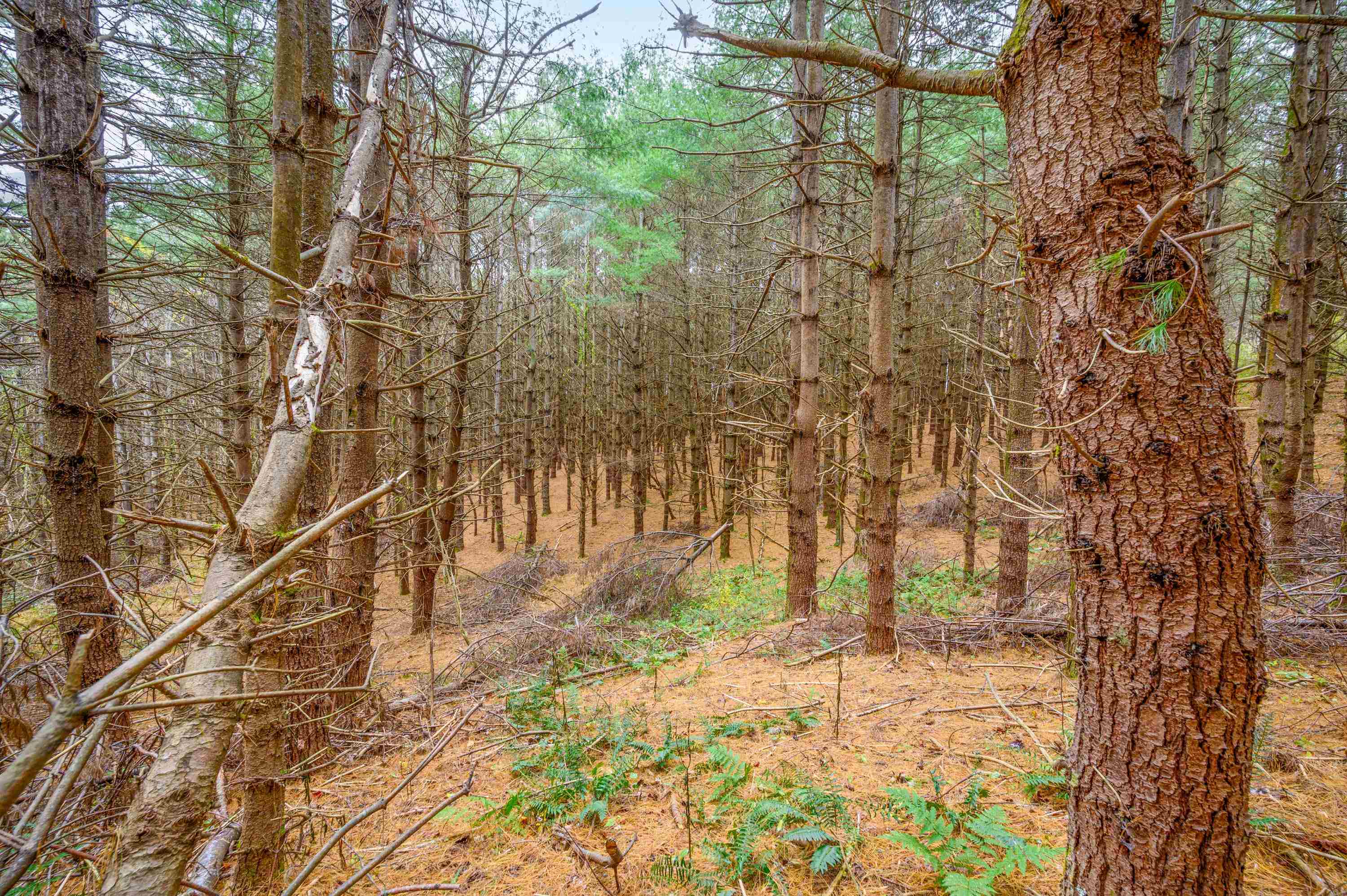 595 Wild Cherry Road NE Pilot VA 24138