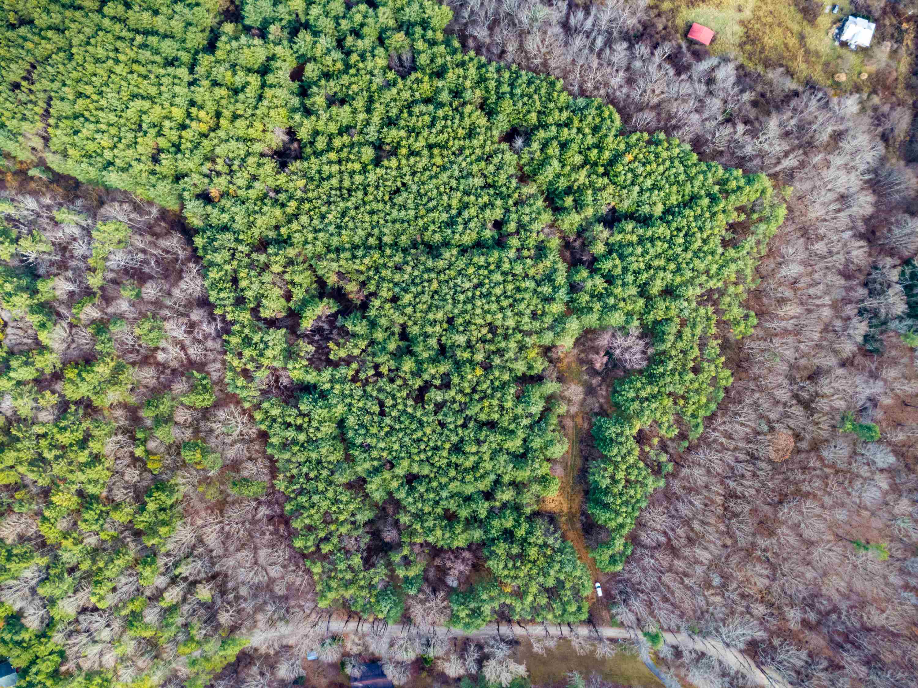 595 Wild Cherry Road NE Pilot VA 24138