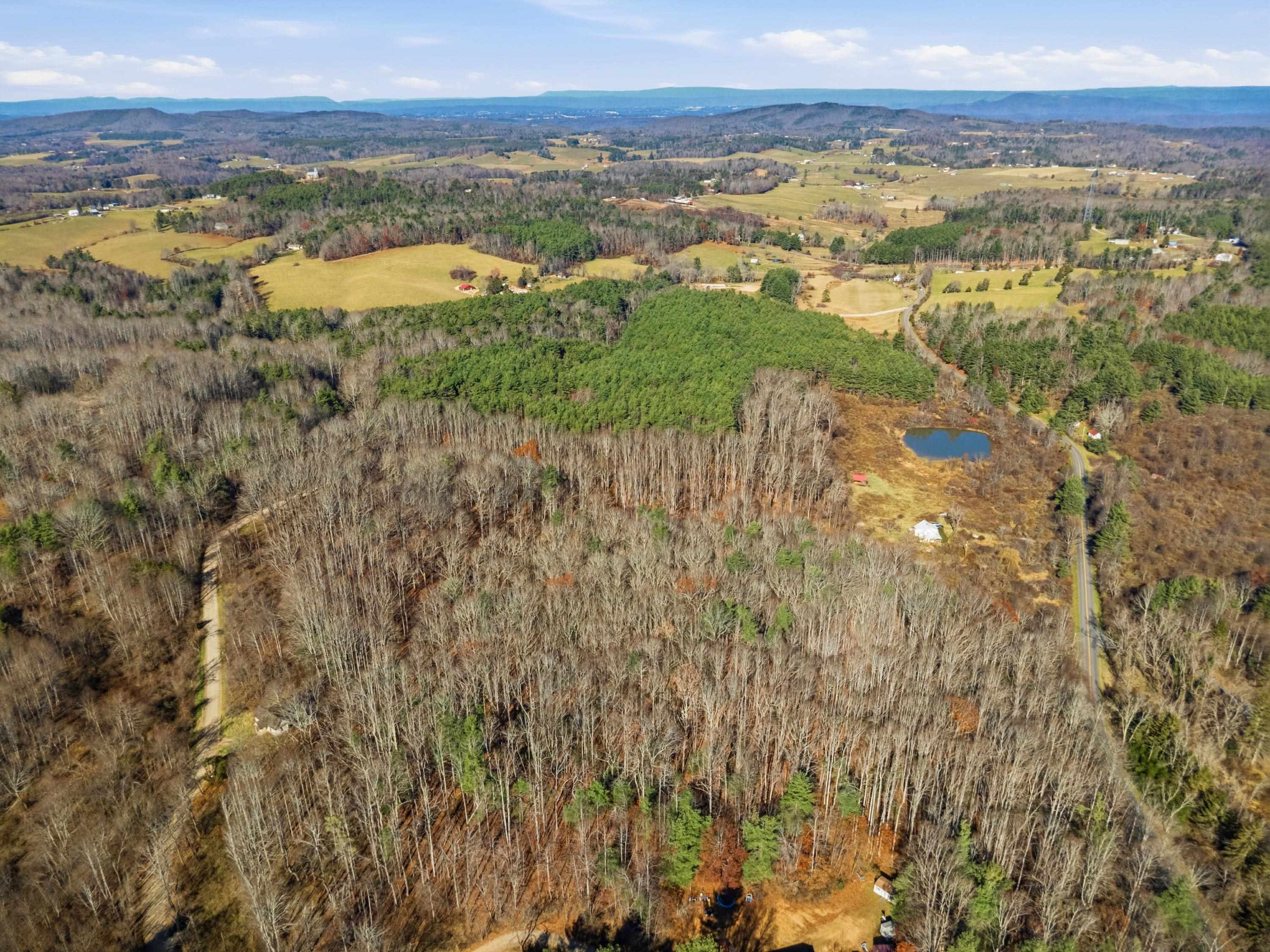 595 Wild Cherry Road NE Pilot VA 24138