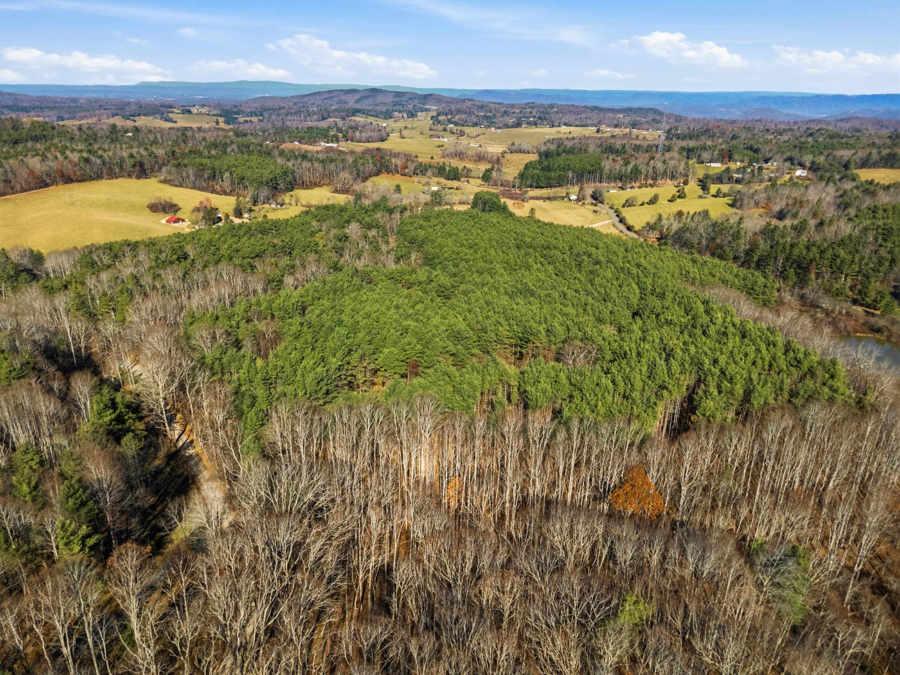 595 Wild Cherry Road NE Pilot VA 24138