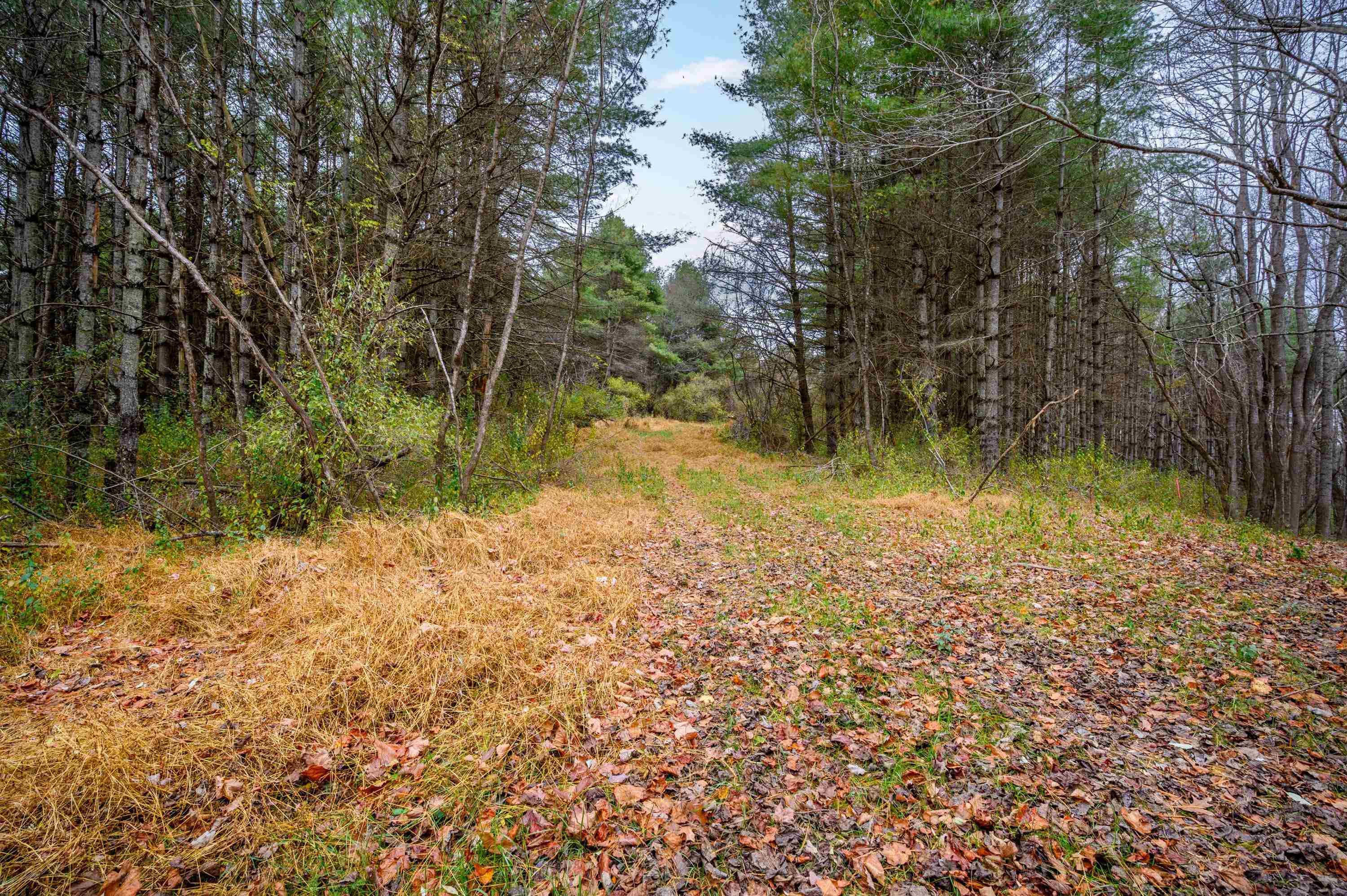 595 Wild Cherry Road NE Pilot VA 24138