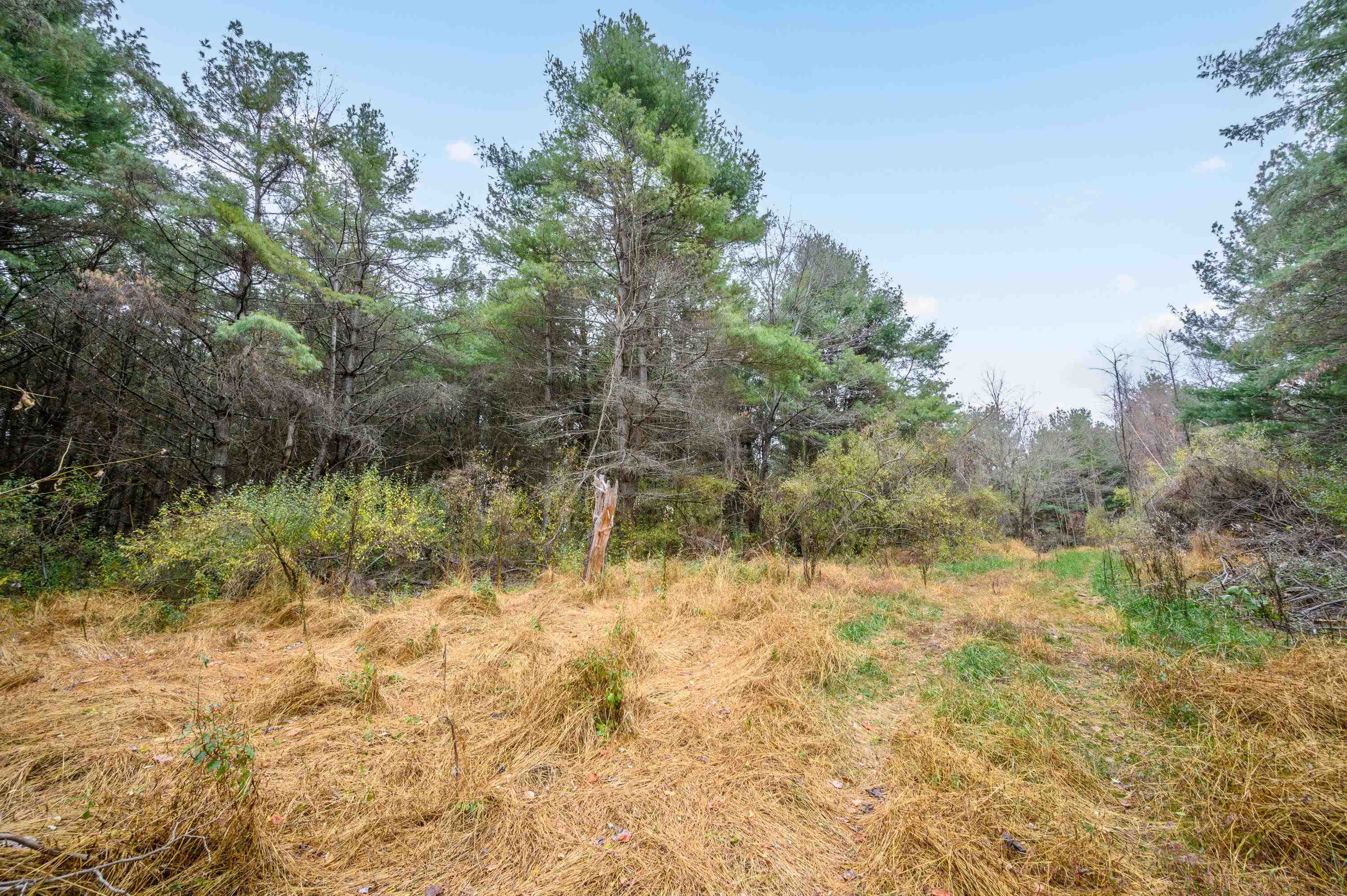 595 Wild Cherry Road NE Pilot VA 24138