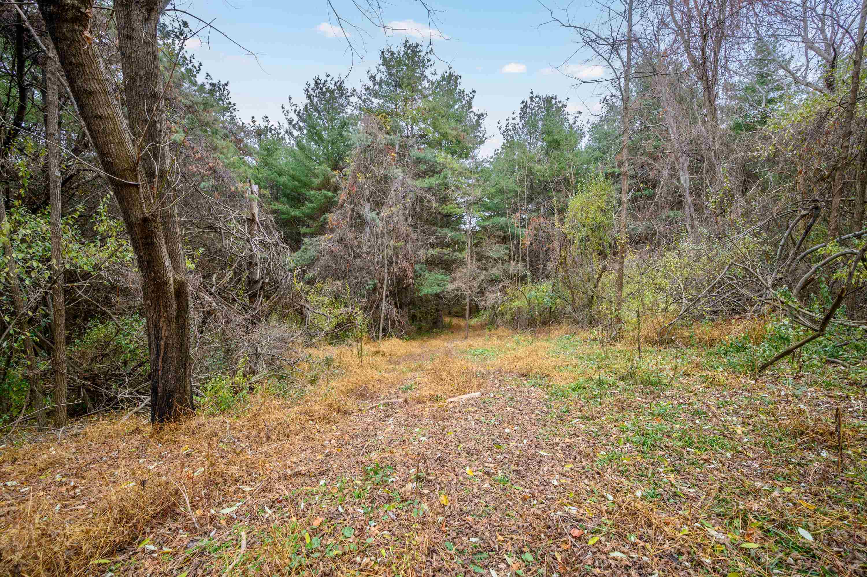 595 Wild Cherry Road NE Pilot VA 24138