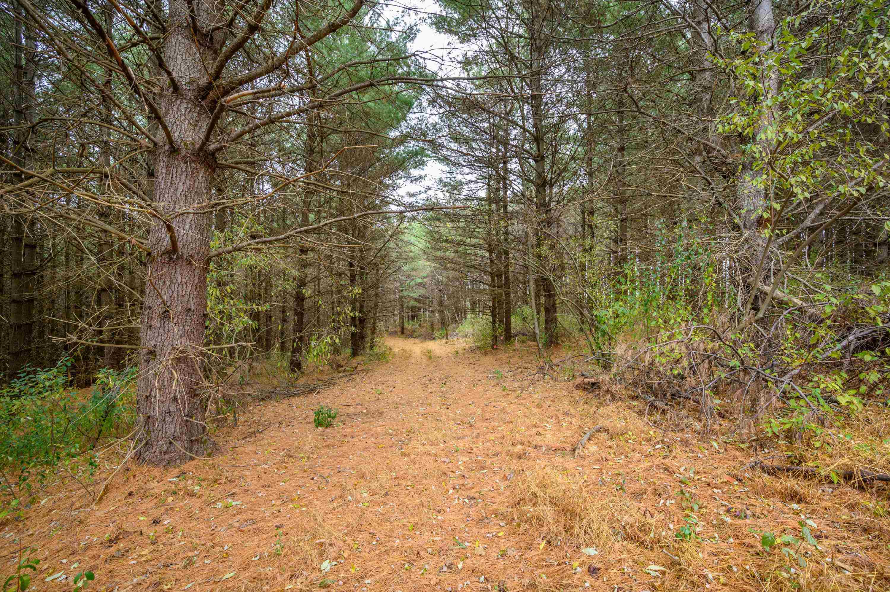 595 Wild Cherry Road NE Pilot VA 24138