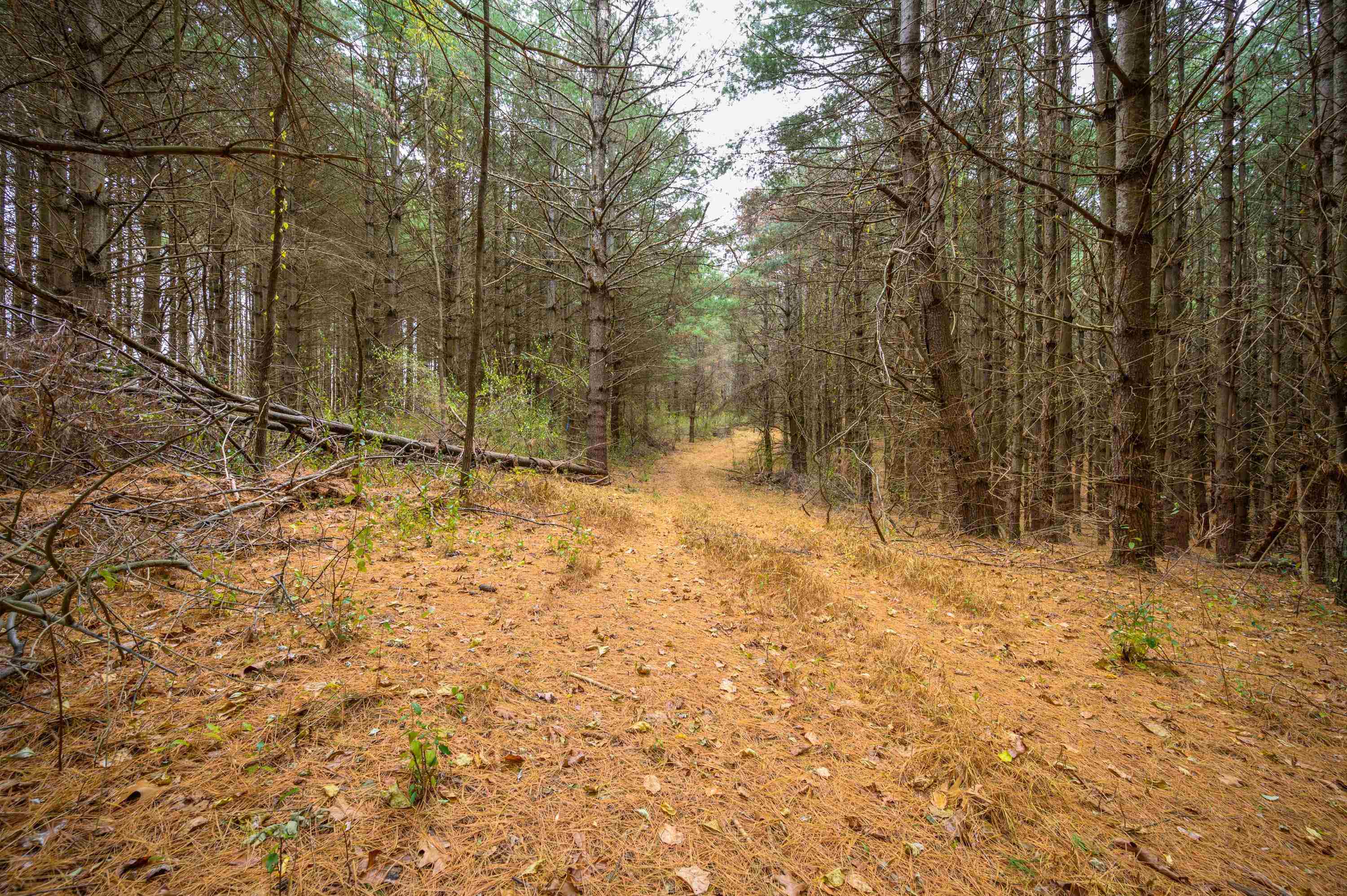 595 Wild Cherry Road NE Pilot VA 24138