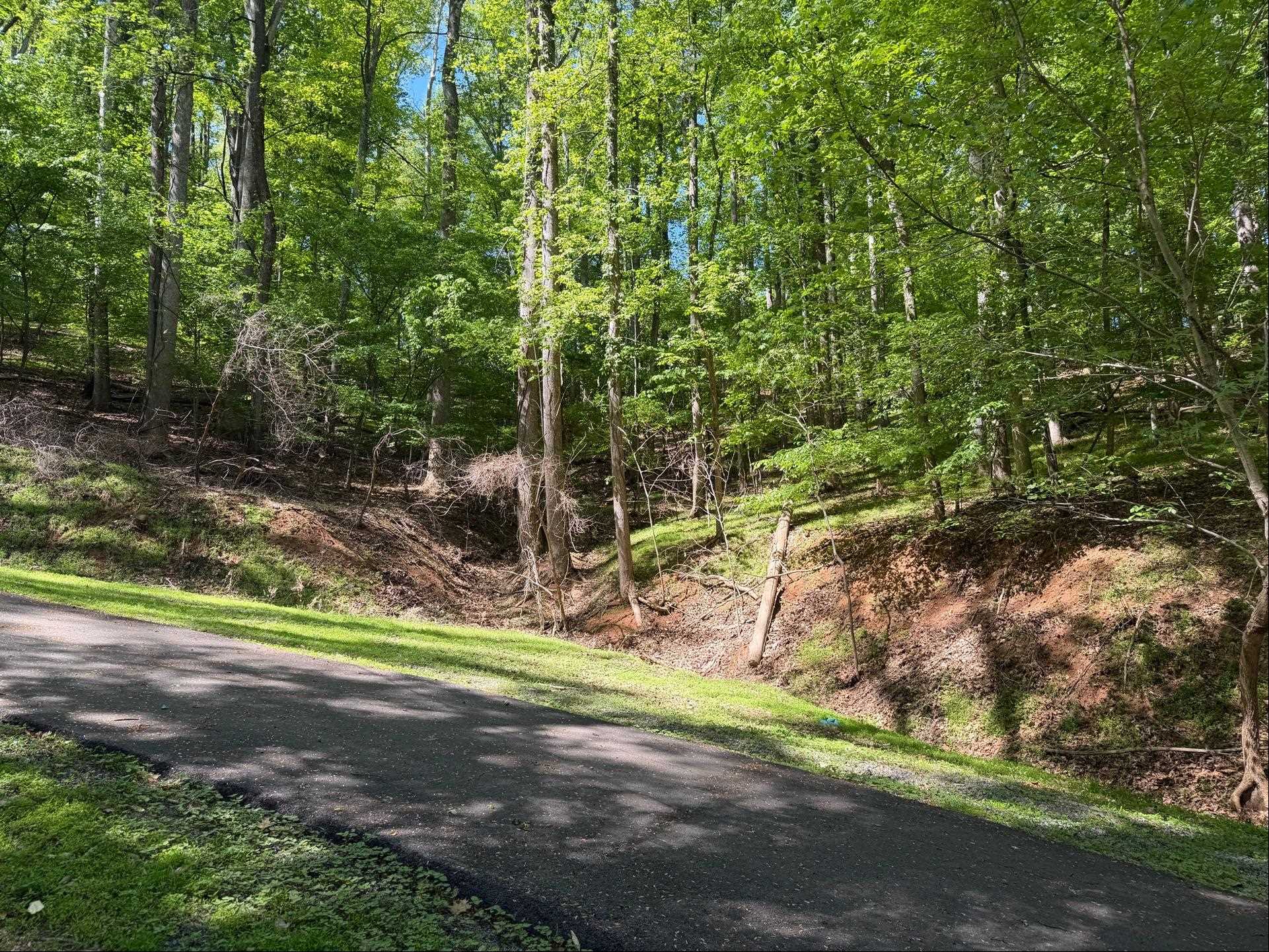 0 Lakecrest Drive Hardy VA 24101