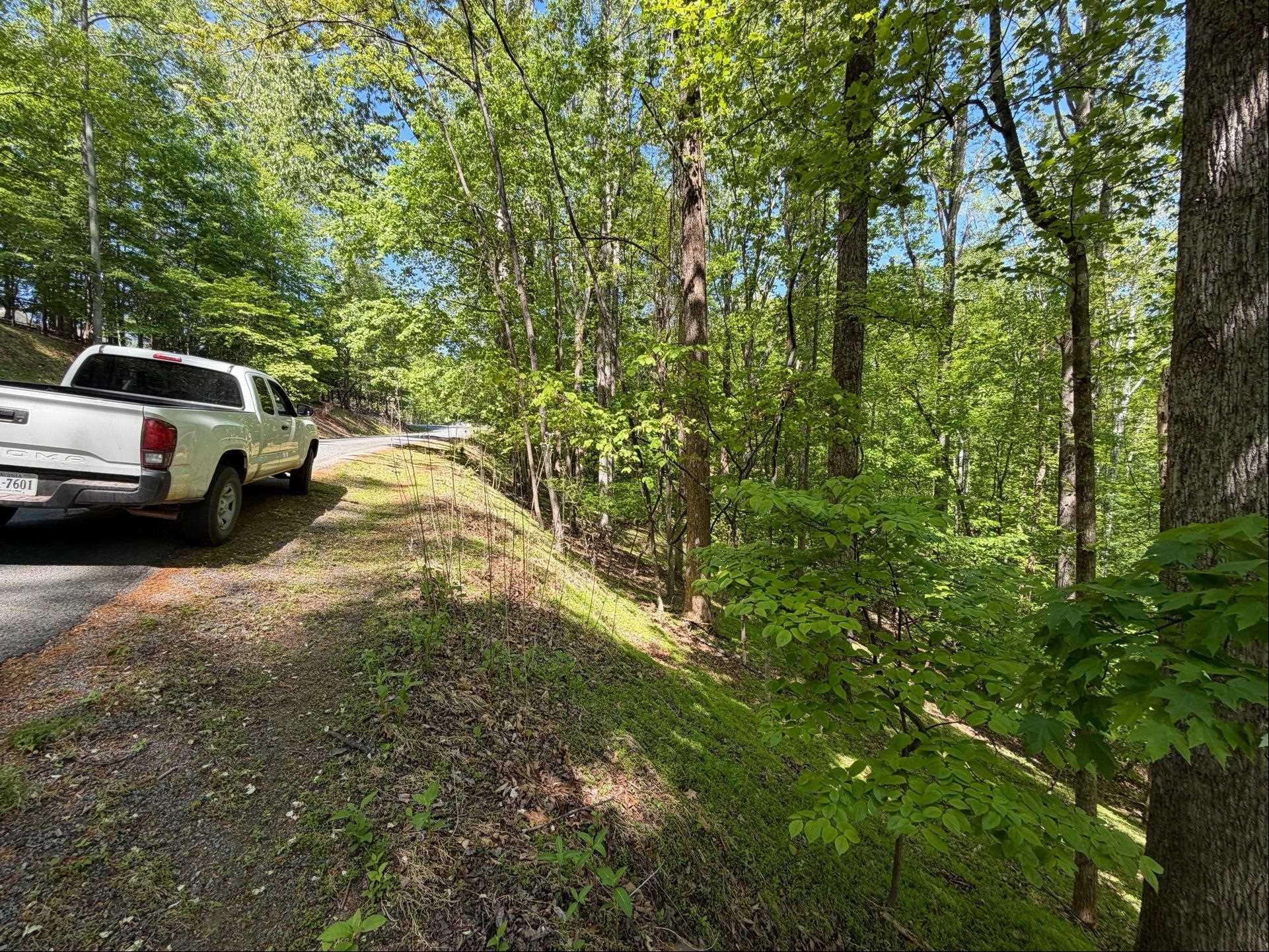 0 Lakecrest Drive Hardy VA 24101