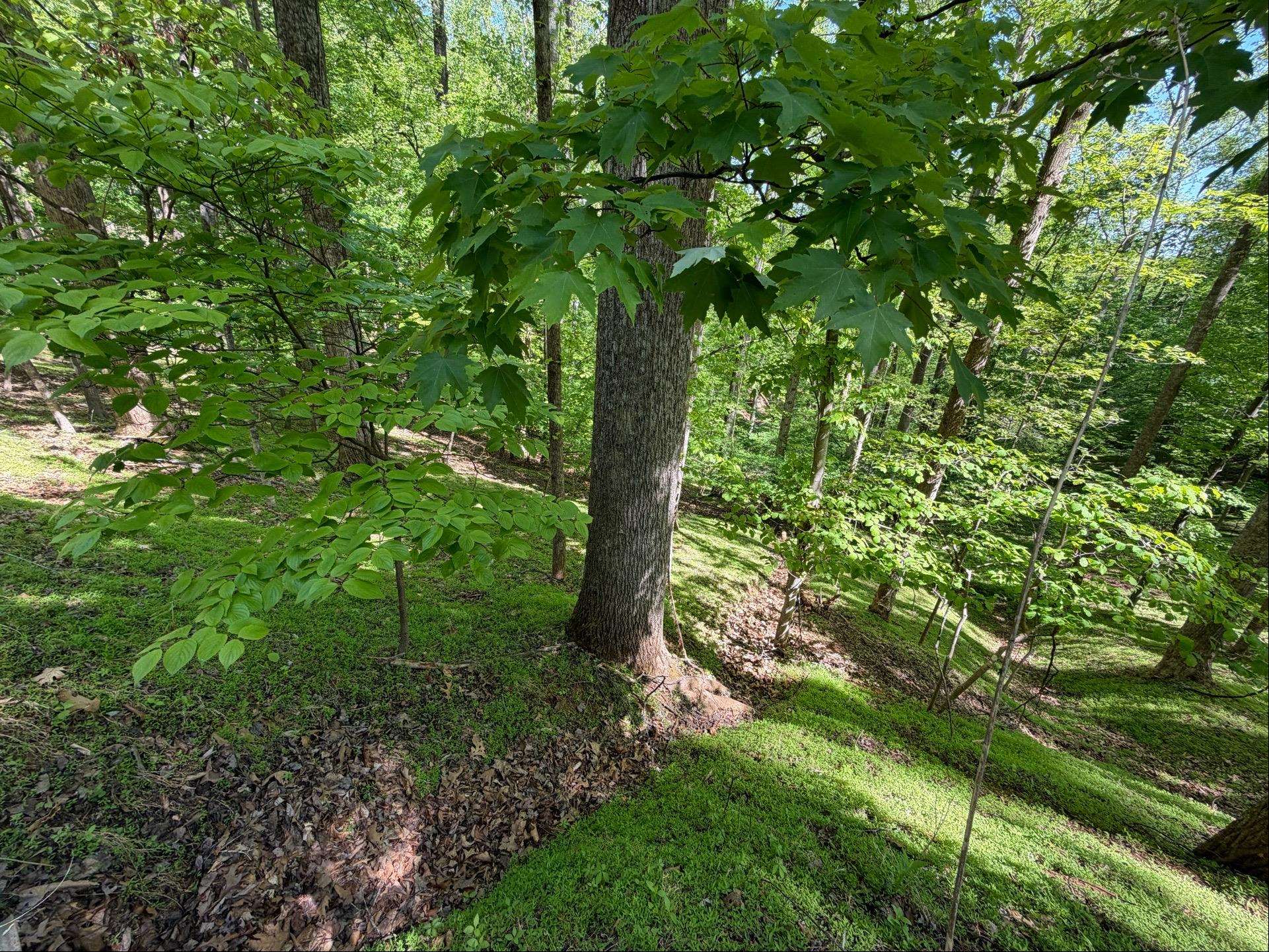 0 Lakecrest Drive Hardy VA 24101