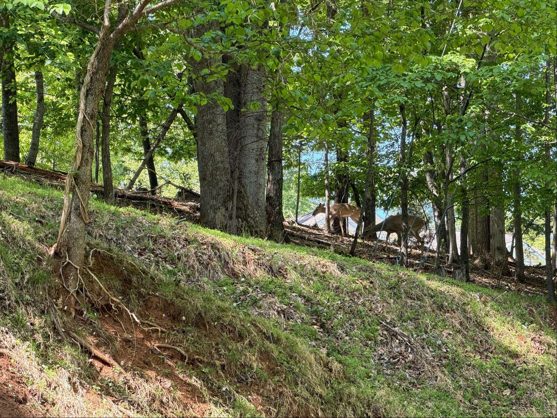 0 Lakecrest Drive Hardy VA 24101