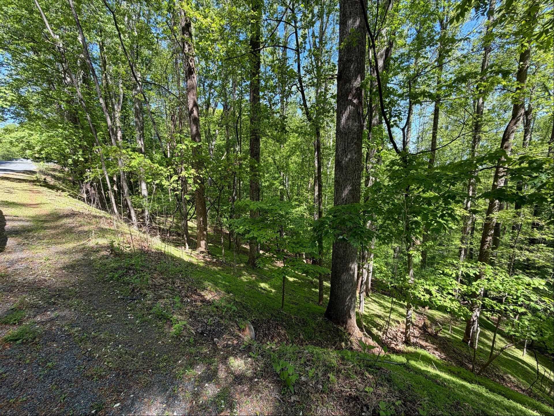 0 Lakecrest Drive Hardy VA 24101