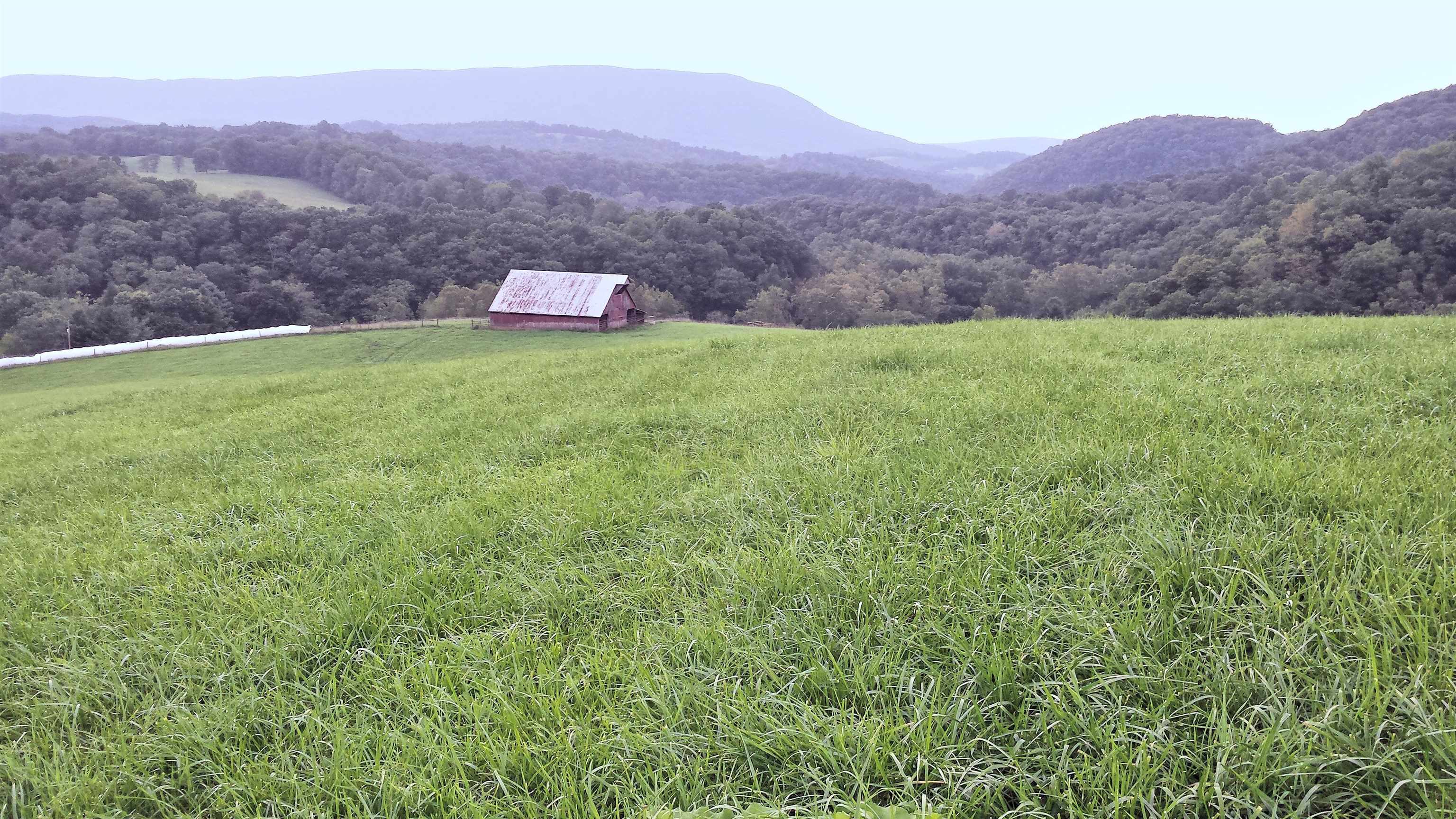 Tbd 145 Ac Rye Hollow Road Pearisburg VA 24134