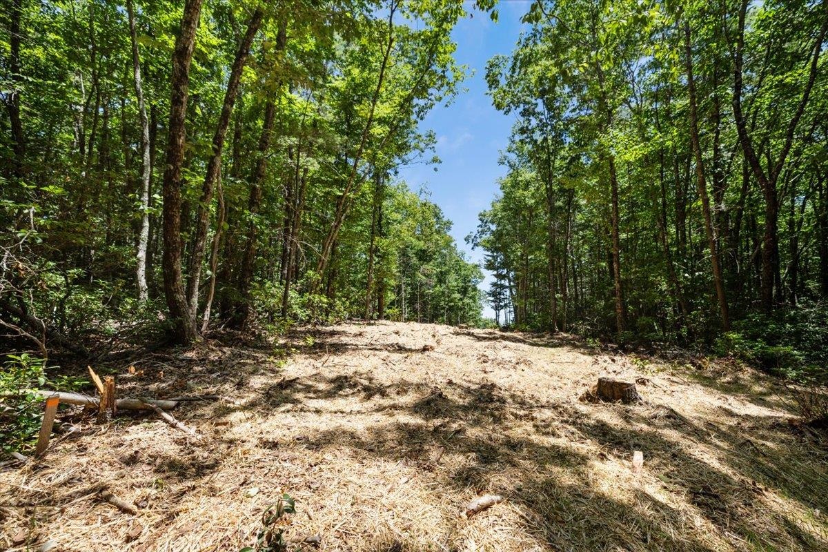 000 Blue Deer Run NW Floyd VA 24091