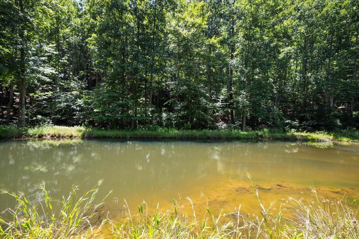 000 Blue Deer Run NW Floyd VA 24091
