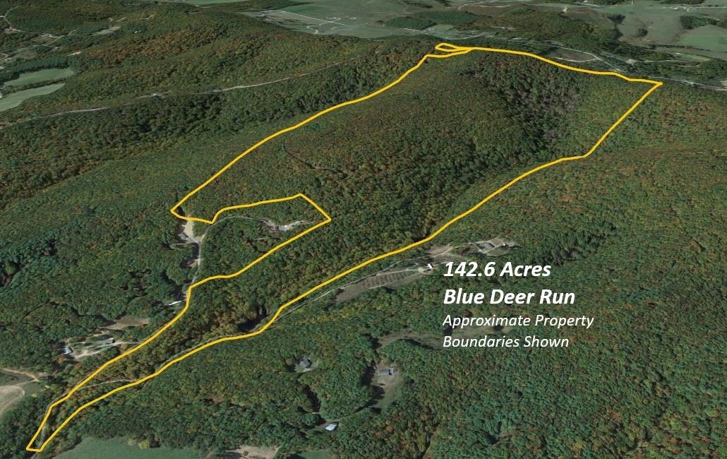 000 Blue Deer Run NW Floyd VA 24091