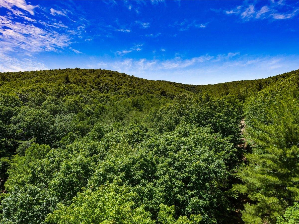 000 Blue Deer Run NW Floyd VA 24091