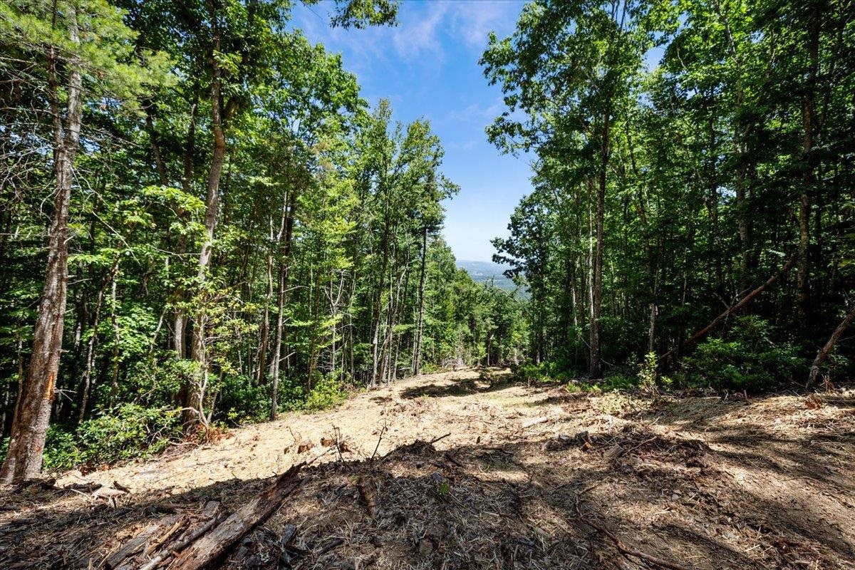 000 Blue Deer Run NW Floyd VA 24091