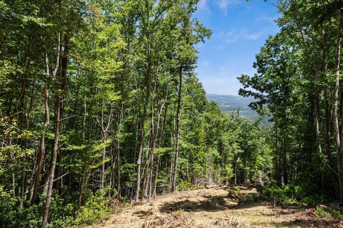 000 Blue Deer Run NW Floyd VA 24091