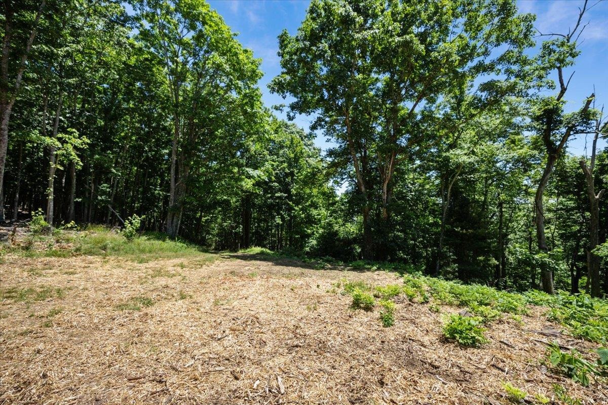 000 Blue Deer Run NW Floyd VA 24091