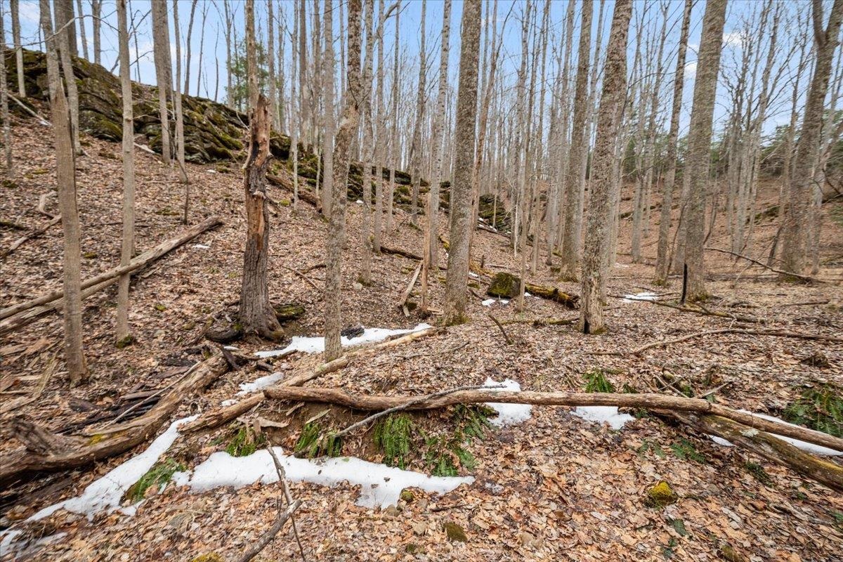 Tbd Mount Tabor Road Blacksburg VA 24060