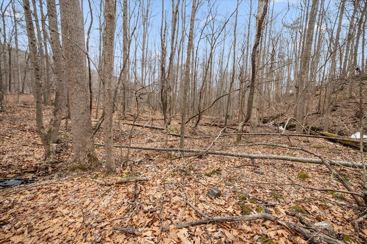 Tbd Mount Tabor Road Blacksburg VA 24060