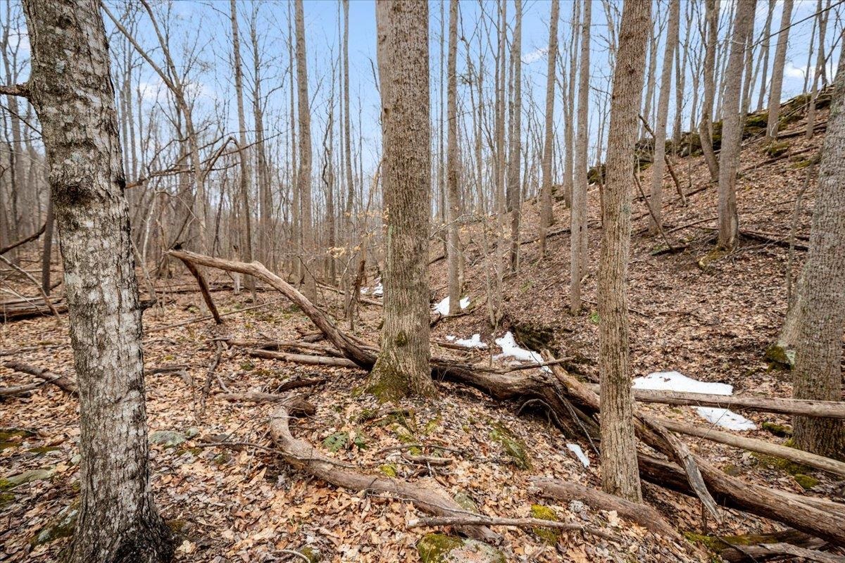 Tbd Mount Tabor Road Blacksburg VA 24060