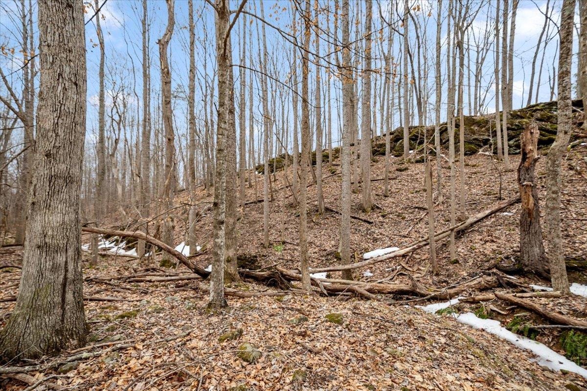 Tbd Mount Tabor Road Blacksburg VA 24060