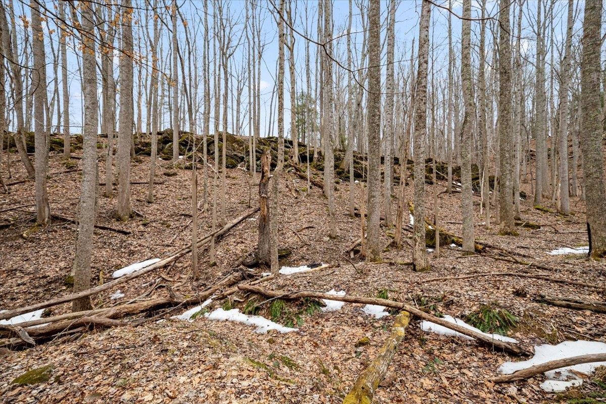 Tbd Mount Tabor Road Blacksburg VA 24060