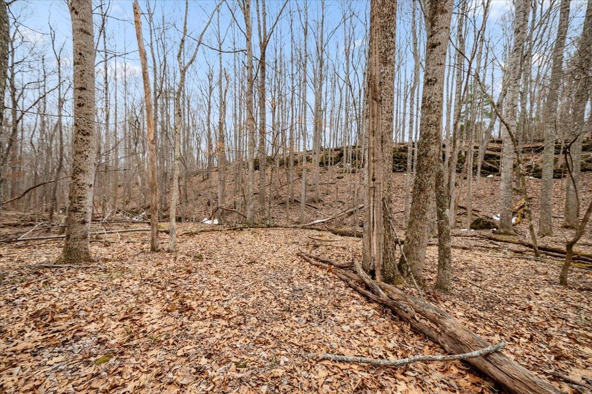 Tbd Mount Tabor Road Blacksburg VA 24060