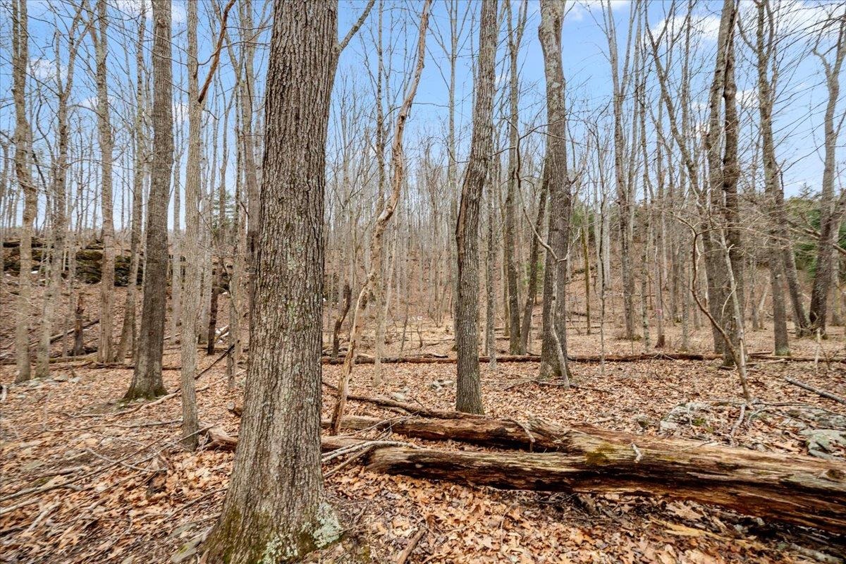 Tbd Mount Tabor Road Blacksburg VA 24060