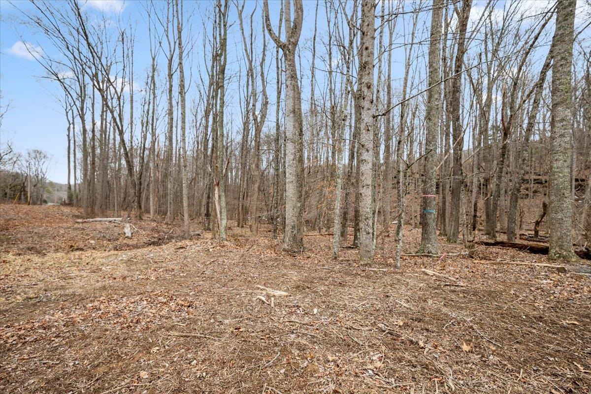 Tbd Mount Tabor Road Blacksburg VA 24060