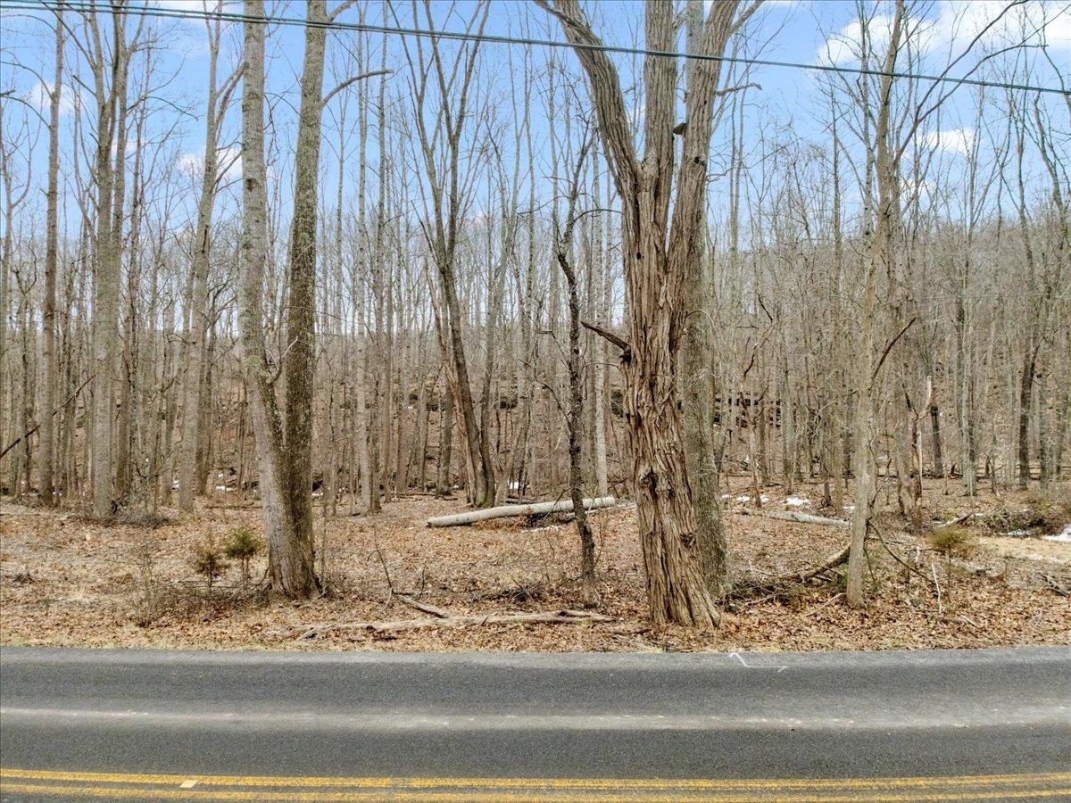 Tbd Mt Tabor Road Blacksburg VA 24060