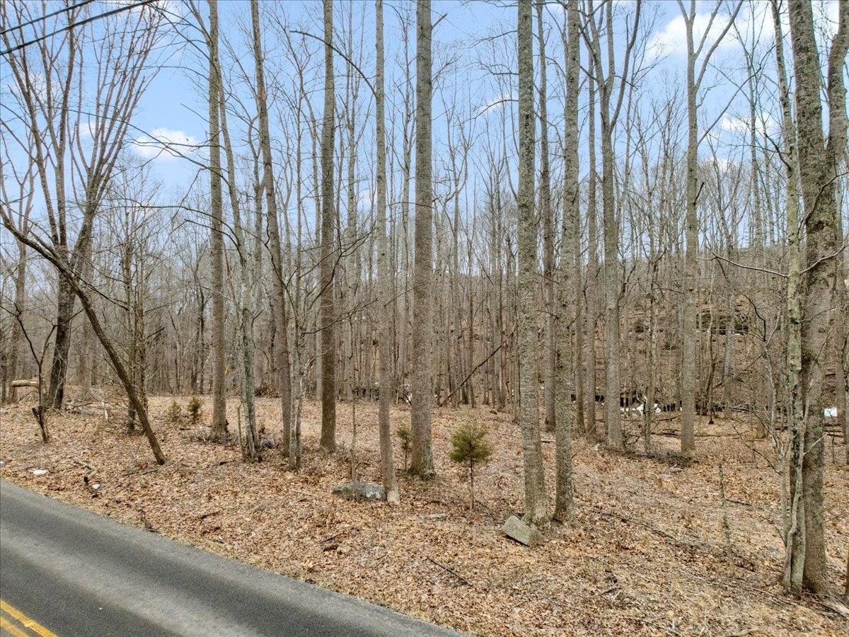Tbd Mt Tabor Road Blacksburg VA 24060