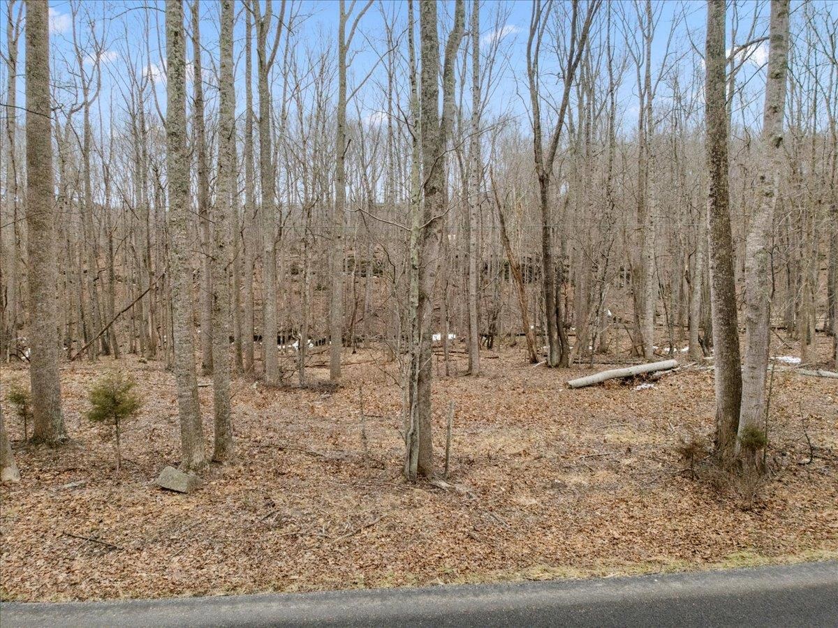 Tbd Mt Tabor Road Blacksburg VA 24060
