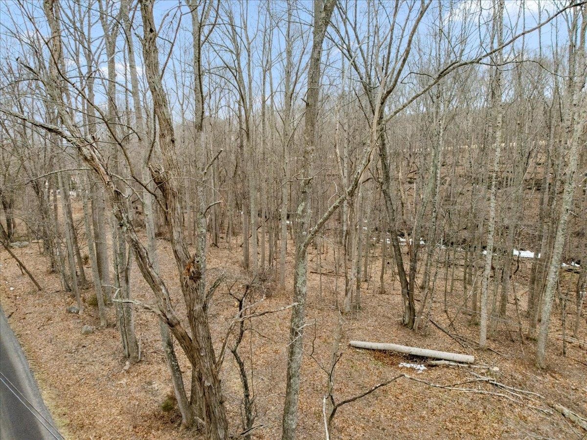 Tbd Mt Tabor Road Blacksburg VA 24060