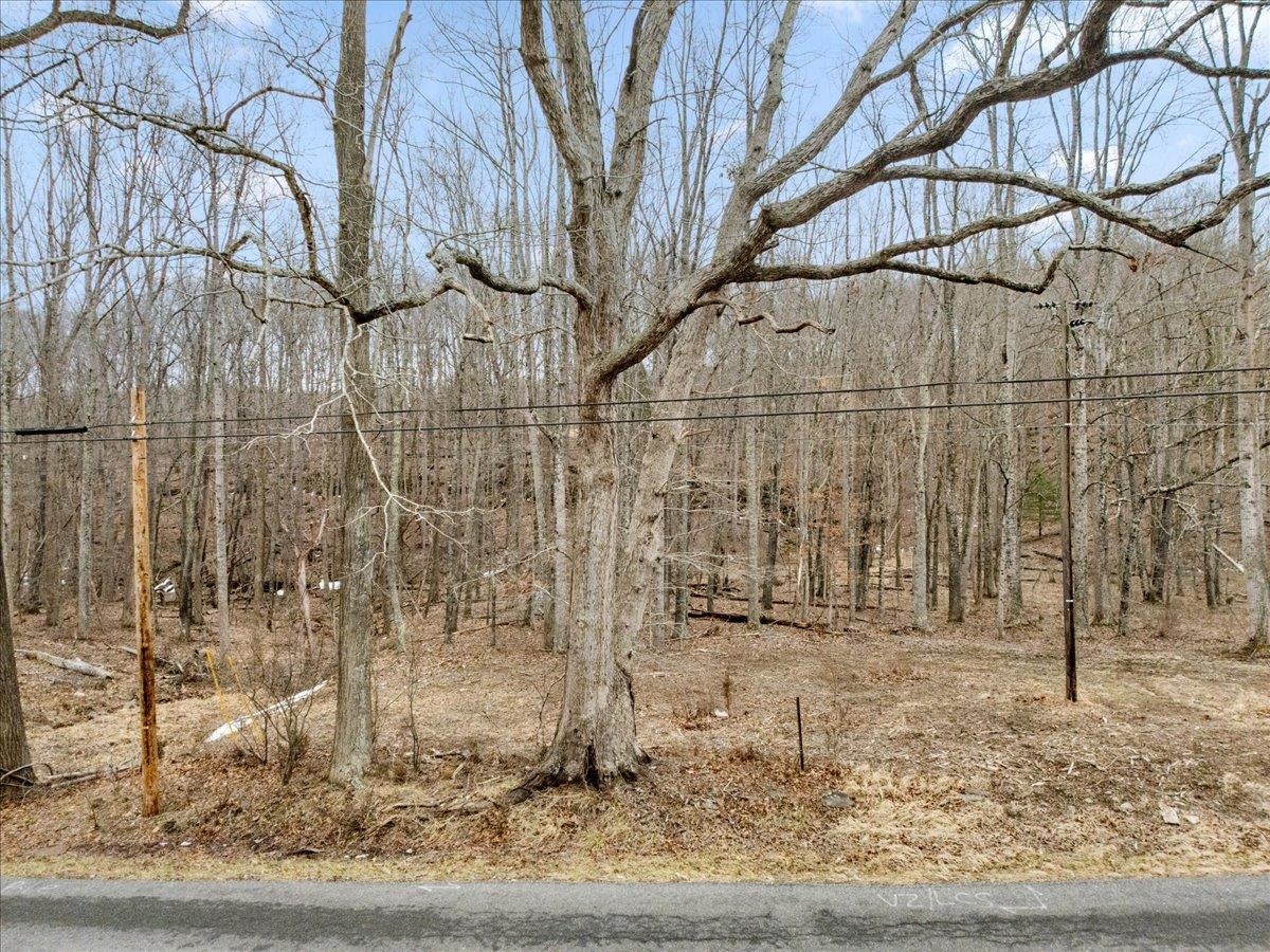 Tbd Mount Tabor Road Blacksburg VA 24060